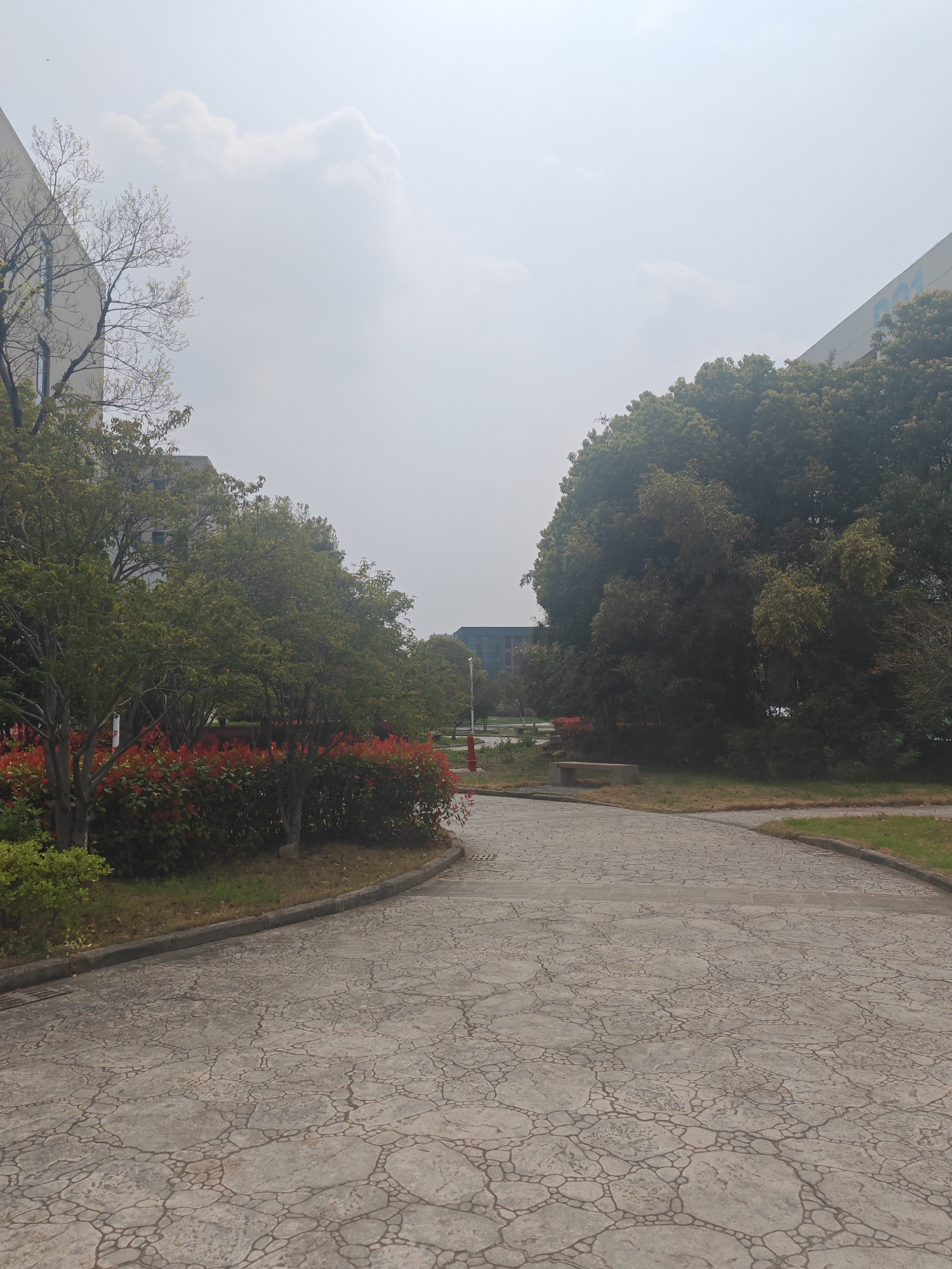 The image depicts a paved pathway in an outdoor environment in Jiangning District, China. The pathway is cracked and patterned with cobblestone-like shapes. The path is bordered by greenery, including trees and red bushes. Buildings are visible in the background, partially obscured by the foliage. The sky is overcast with diffused light. There are no people visible in the image. A bench is visible on the right side of the image, alongside the trees. A red fire hydrant can be seen on the left.