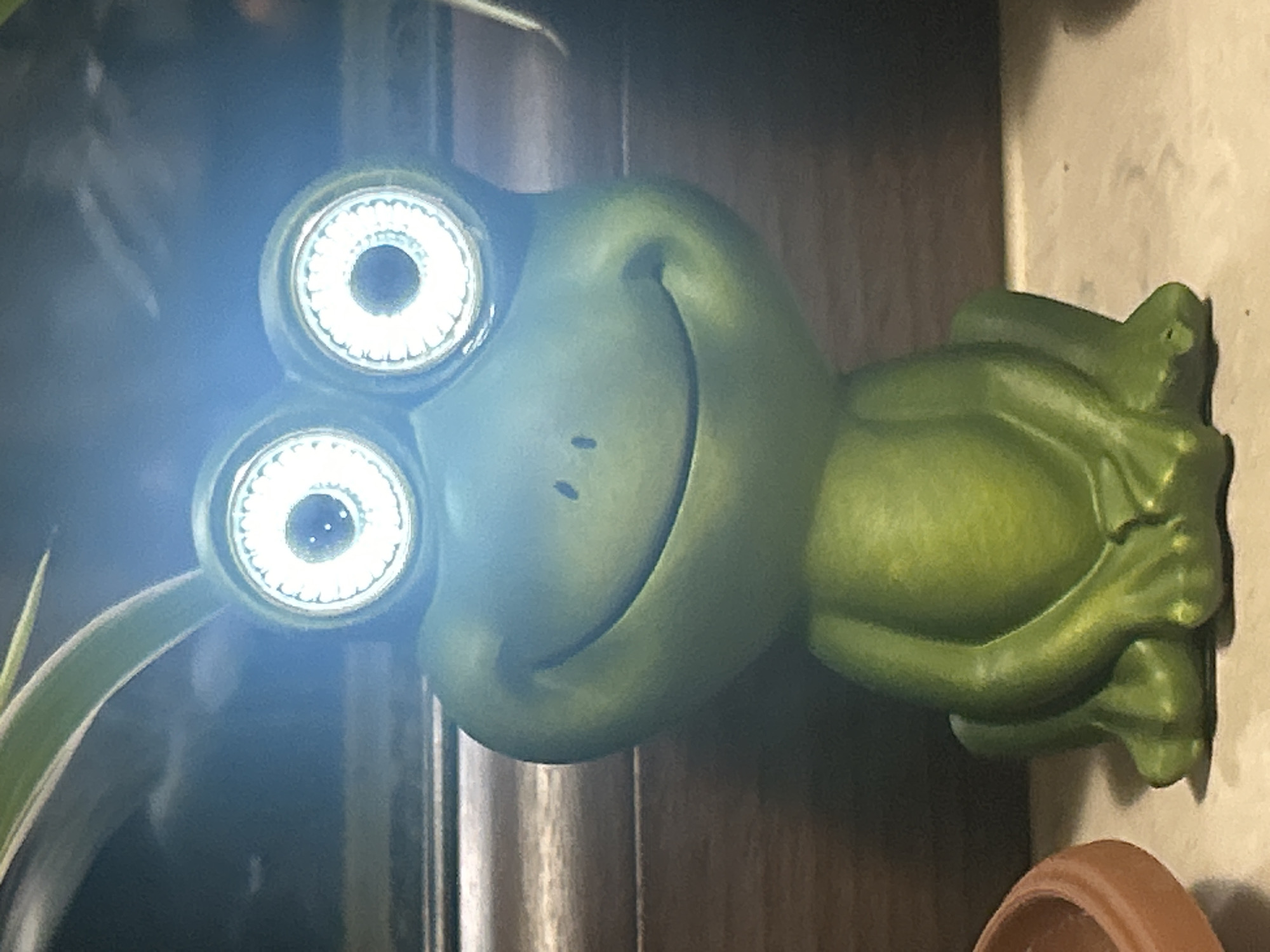 A green frog statue with light-up eyes is positioned indoors, on a surface or shelf. The statue has a smiling expression and appears to be leaning on its front legs. A plant is visible to the left, and a terra cotta pot is near the bottom. The location is unspecified, in the city of Unknown, Unknown.