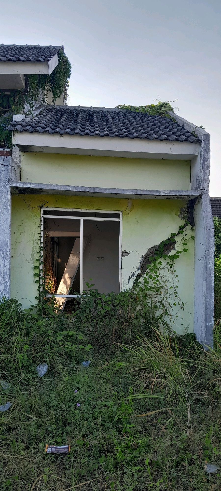 The image shows the exterior of a derelict building in Bendungan, Indonesia. The building has a light green facade with a large, broken window opening. Cracks are visible in the wall, and vegetation, including vines and tall grass, has overgrown the structure and the surrounding ground. The roof is tiled with dark gray tiles and is partially covered with greenery. Debris, including plastic bags and a wrapper, is scattered on the ground in the foreground. The sky is overcast. The scene suggests abandonment and neglect.