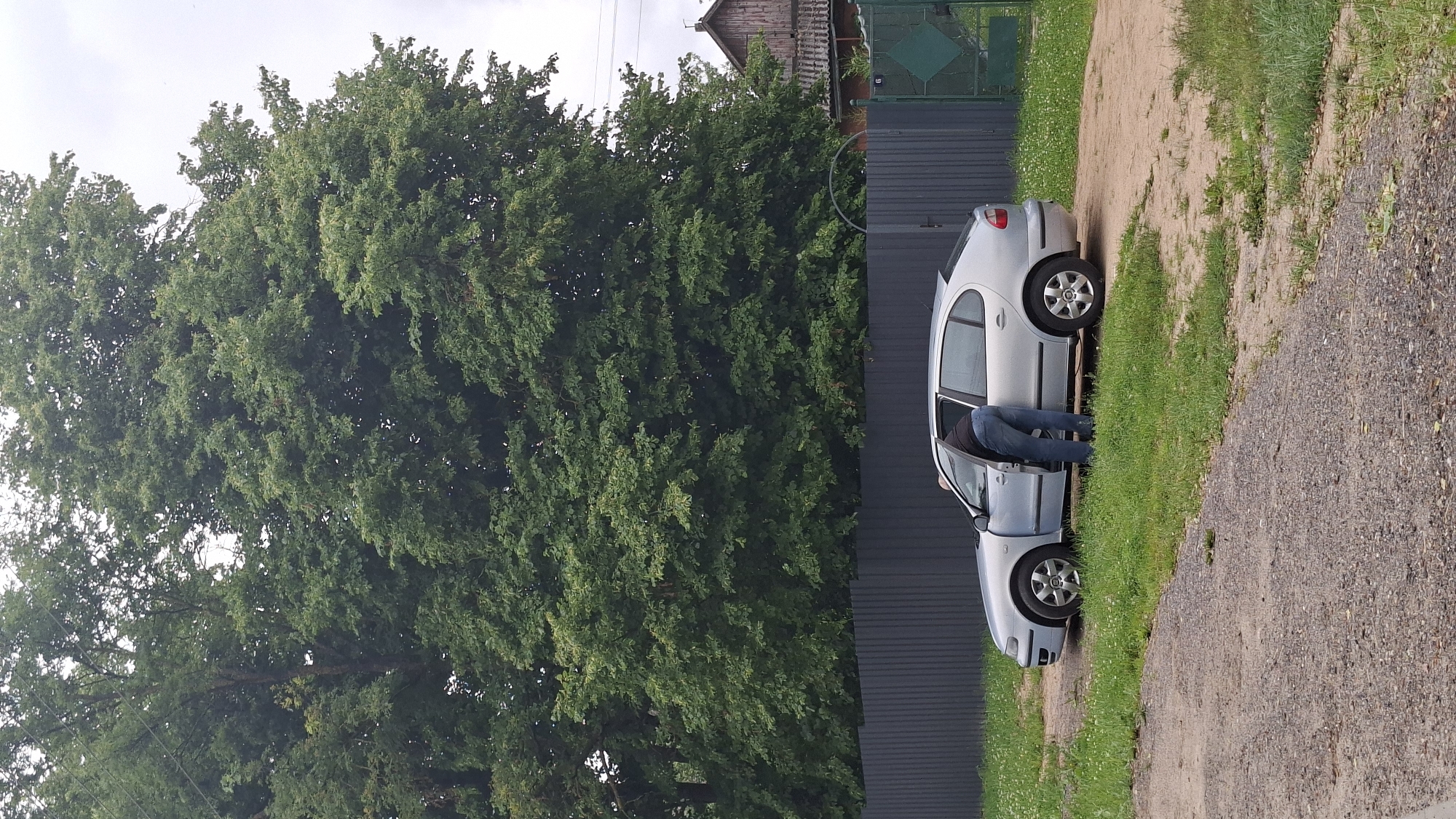 In the city of Smolevichi, Belarus, a silver sedan is parked on a gravel surface next to a patch of grass. A person, wearing blue jeans and a dark top, is bending over into the open driver's side of the car. Behind the car and person is a dark grey metal fence, and beyond that, a large tree with dense green foliage. To the right of the fence, a section of a green gate is visible. A small wooden building with a gray roof and a visible cross is partially visible in the background above the fence. The sky is overcast.
