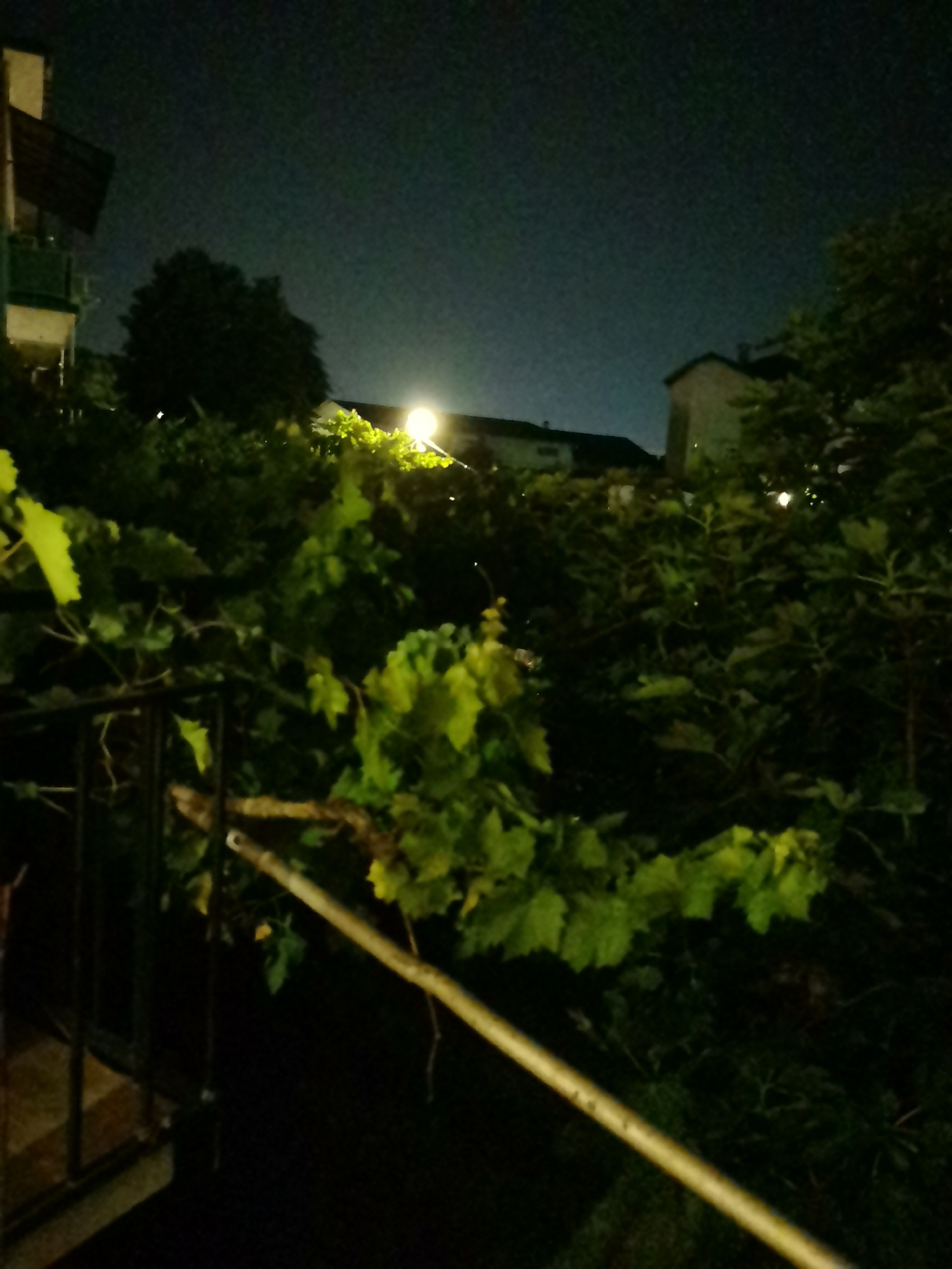 The image depicts a nighttime scene, likely from a balcony or elevated position, overlooking a dark, vegetation-filled environment. In the background, structures of houses and a large tree are faintly visible against a dark sky. A bright light source, possibly a streetlamp, illuminates a portion of the scene, casting a glow on the foliage. The foreground features a railing and a branch with green leaves, suggesting the presence of a garden or vine. The overall ambiance is dark and somewhat eerie, with limited visibility due to the low light conditions. The location of Aksakovo, Bulgaria, is not directly discernible from the visual elements present in the image.
