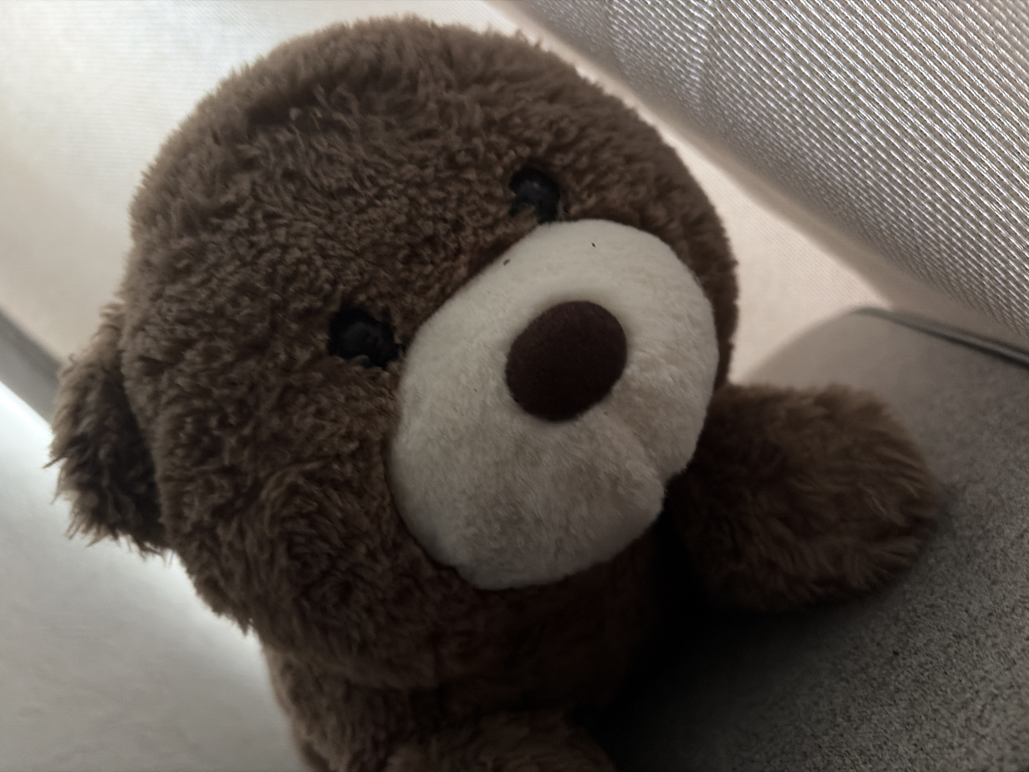 The image shows a close-up of a brown teddy bear. The bear is lying down, with its head tilted to the right. The background is blurred and appears to be a light-colored fabric. There is no information in the image to suggest it is located in the city of Sochi, Russia.