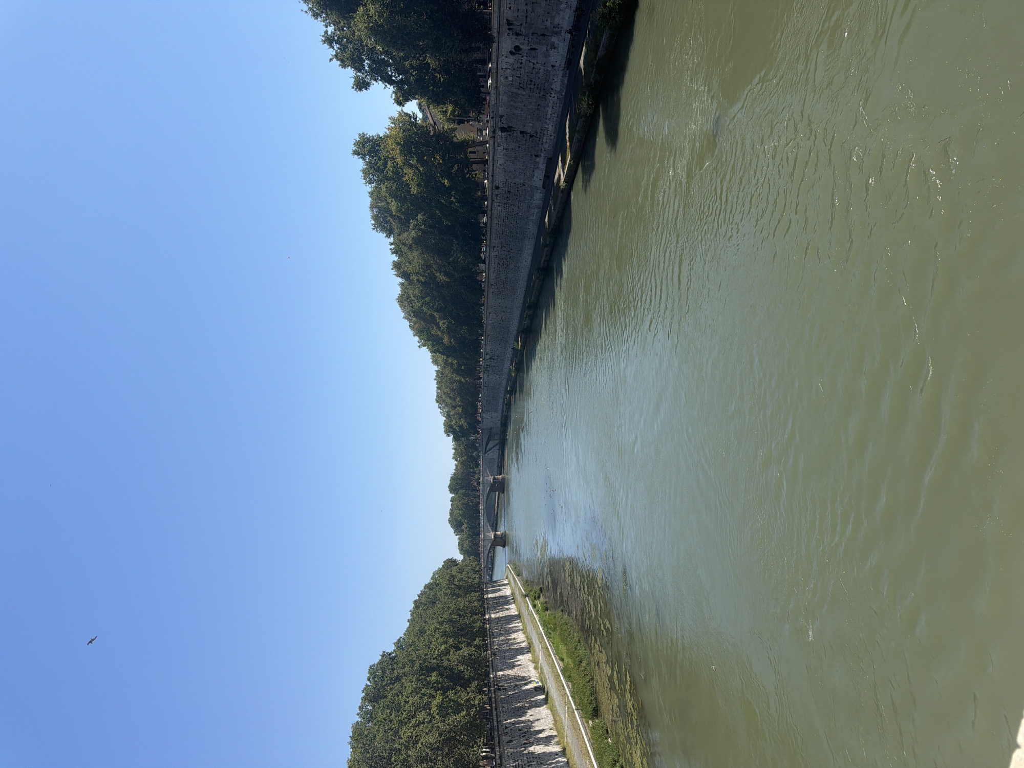 The image shows a wide, greenish river flowing through a city. On both sides of the river are stone retaining walls topped with trees. A bridge with several arches is visible in the distance, spanning the river. The sky is clear and blue, with a single bird flying high above. The water appears calm with some ripples. The scene is likely captured during daylight on a clear day.