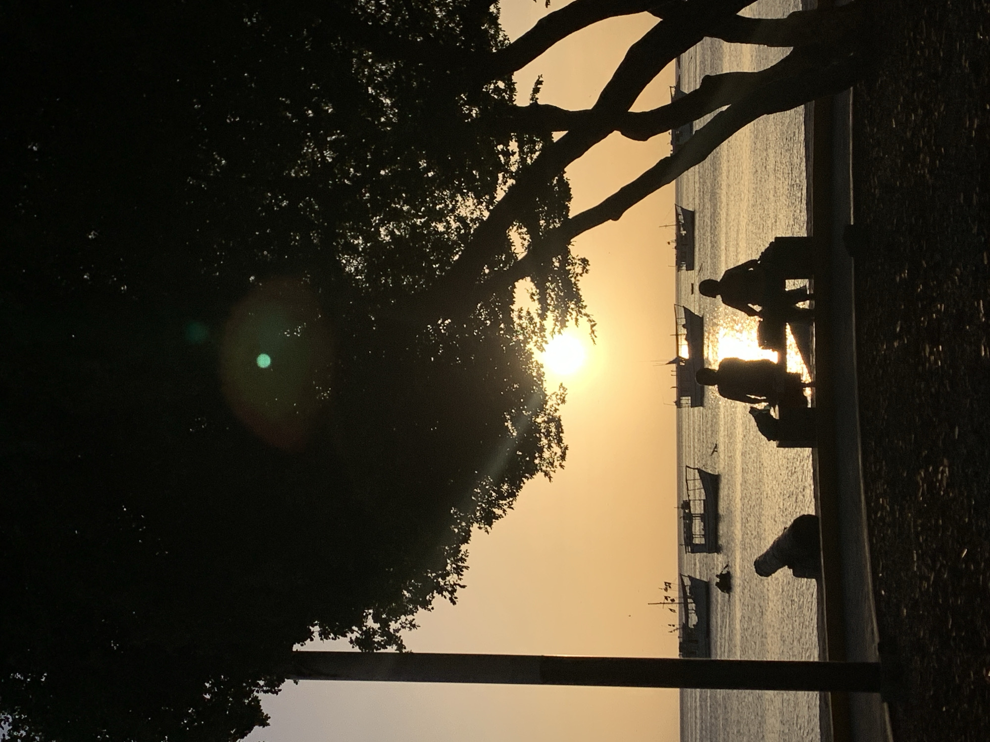 The image depicts a sunset scene in Juan Griego, Venezuela. Silhouettes of two people are visible sitting on a bench by the water. Several boats are anchored in the calm sea in the background. A large tree dominates the foreground, casting a shadow over the scene. The sky is a warm orange hue, indicating the sun is setting. The overall atmosphere is peaceful and serene.