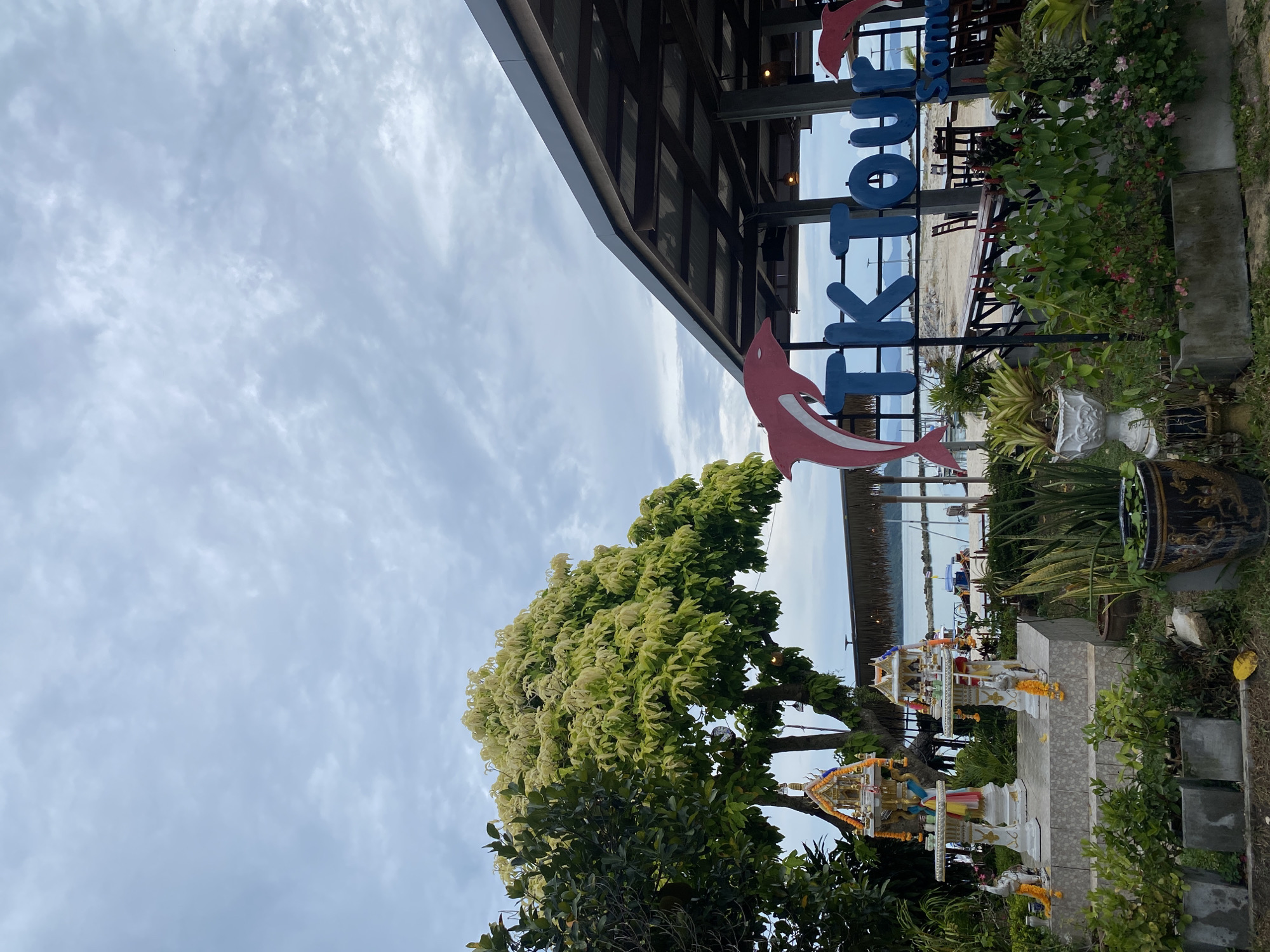 The scene is a sideways-oriented outdoor view in Baan Thong Krut, Thailand. A large tree with light green and white blossoms dominates the lower portion of the frame, with a spirit house nestled amongst its branches. Above and to the right of the tree is a sign that reads "Tiktok Samui" in blue lettering with a red dolphin figure. The sign is positioned in front of a building with a dark, slatted roof structure. In the background, a view of the beach and ocean is visible. The sky is overcast with diffuse clouds. Various plants and decorative pots are visible around the sign and tree.