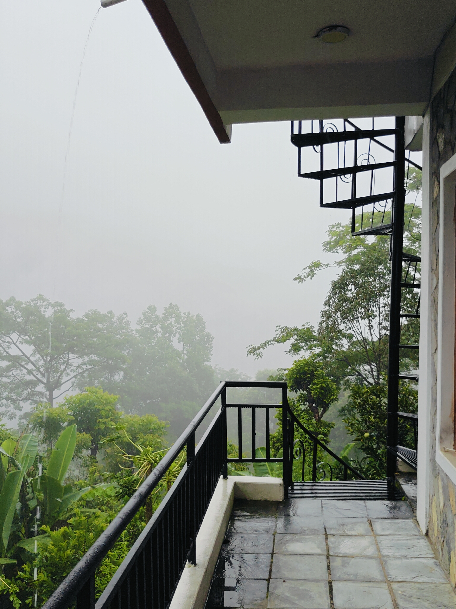 This image depicts a balcony with a spiral staircase leading down to a lush, green environment, likely in Pokhara, Nepal. The sky is overcast and it appears to be raining, with water visibly flowing from a gutter. The balcony floor is tiled and wet, with a black metal railing. A stone-clad wall is visible on the right side of the image. The view beyond the railing is dominated by dense foliage and trees, shrouded in a misty atmosphere. There are no people or animals present in the scene. The overall impression is one of a serene, natural setting experiencing inclement weather.