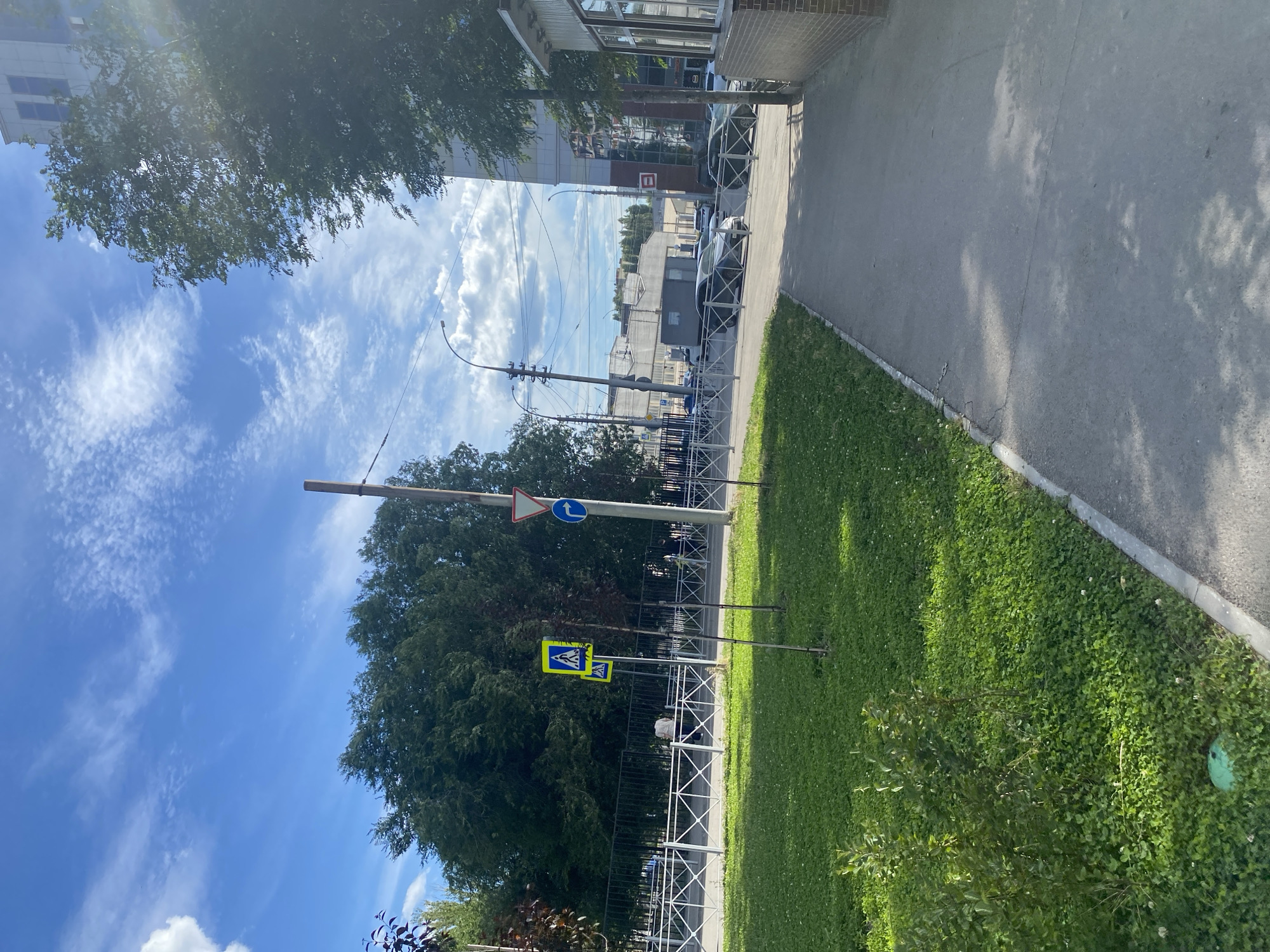 This is a vertical, eye-level shot of a street scene on a sunny day. The foreground is dominated by a strip of green grass, which transitions into a paved sidewalk. Beyond the sidewalk, a street is visible with several parked cars and a fence. Further back, buildings line the street, appearing to be commercial or office spaces. Overhead, a bright blue sky with wispy white clouds suggests pleasant weather. Trees with lush green foliage are scattered throughout the scene, with some casting shadows on the sidewalk.
Several traffic signs are visible. One sign, triangular with a red border, has a blue circle with a white "T" inside, indicating a bus stop. Below this is a square yellow sign with a blue border, depicting a pedestrian crossing. Another identical pedestrian crossing sign is positioned slightly lower and to the right. A tall pole, likely a lamppost, stands prominently in the mid-ground. The lighting suggests it is daytime, likely late morning or early afternoon, given the clear sky and bright sun. The overall atmosphere is one of a typical urban street, calm and uneventful. There is no visible text on any of the objects or signs beyond the standard symbols.