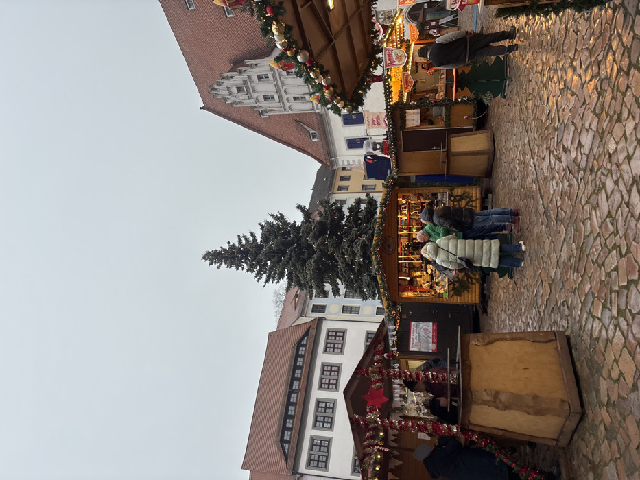 The image displays an outdoor Christmas market in a cobblestone square in Meissen, Germany, likely the Marktplatz. The sky is overcast, and the wet cobblestone ground reflects light. Surrounding the square are historic European buildings with red-tiled roofs, including a prominent multi-story structure on the right with a decorative white stepped gable. A tall, unadorned evergreen Christmas tree stands centrally. Multiple wooden market stalls, adorned with festive garlands, lights, and ornaments, are arranged across the square. Approximately ten individuals, dressed in winter coats, are present. A group of four people stands around a central stall, appearing to browse or interact with a vendor. Other individuals are seen near additional stalls, including one person at a stall on the left and a man standing on the right. Signs with German text, such as "Pommes" (fries) and "Stromsparen" (saving electricity), are visible on some stalls.