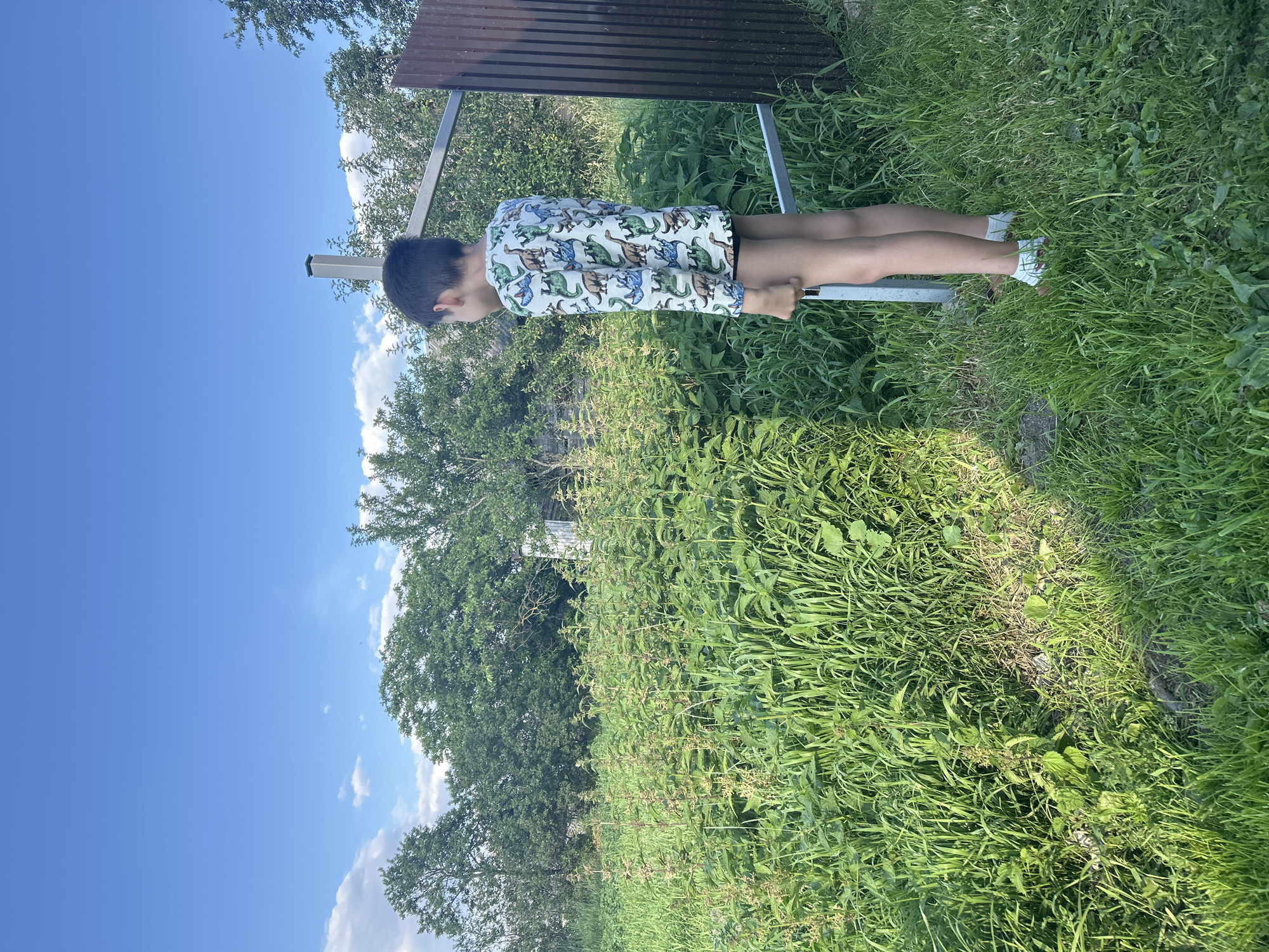 The image shows a young boy standing outdoors in a grassy area, facing away from the camera and looking to his right. He is wearing a long-sleeved shirt with a pattern of dinosaurs and white sneakers. The boy is standing on a metal structure, possibly part of a bench or a frame. Behind him, there is a wooden planked structure. The setting appears to be a backyard or a park, with lush green grass and trees in the background. The sky is bright blue with a few scattered white clouds, suggesting a sunny day. The time of day is likely afternoon, given the brightness of the sunlight. The location is Vyshevychi, Ukraine. No text is visible in the image.