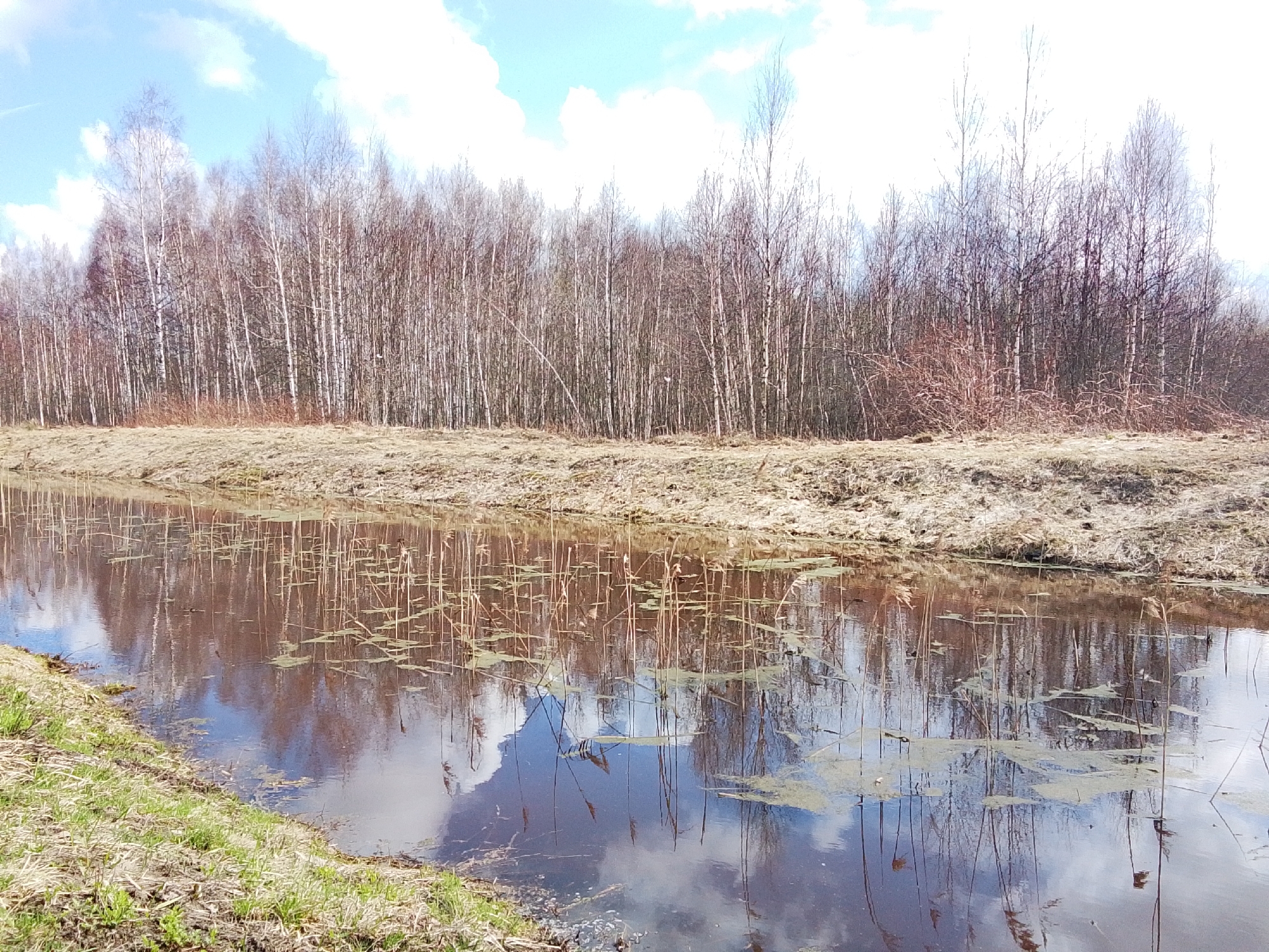 The image depicts a water channel or ditch in a rural or suburban area near Снопок Новый, Russia. The channel is lined with vegetation. A line of trees are visible beyond the channel. The water's surface reflects the trees and the sky. Some reeds are in the water. The sky is partly cloudy.