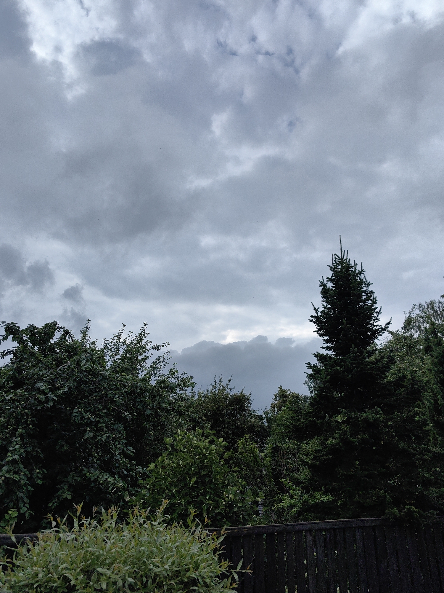 An overcast sky looms above a dense line of trees and a wooden fence. The trees are a mix of deciduous and coniferous, with a prominent fir tree standing out to the right. The sky is filled with thick, grey clouds, with a sliver of brighter sky visible in the distance towards the horizon. The foreground features a section of a dark wooden fence, with lush green foliage in front of it. The scene appears to be a residential backyard or a small park area, characteristic of a suburban setting. The photograph was taken in Fanipal, Belarus.