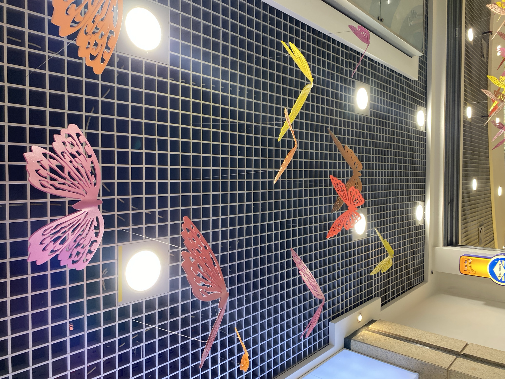The image shows a ceiling decorated with numerous colorful, paper butterfly cutouts suspended by thin wires. The butterflies are of various colors, including pink, orange, red, yellow, and purple, and are arranged to appear as if they are flying. The ceiling itself is a grid of dark grey or black tiles with white grid lines, and several circular, white lights are embedded in the ceiling. In the lower left portion of the image, a yellow and blue sign for "bankomat Euronet" is visible, indicating this is likely a bankomat (ATM) location. This type of overhead decoration is commonly found in commercial spaces such as shopping malls, retail stores, or public areas. Considering the "bankomat Euronet" signage, a likely location in Poznań, Poland, would be a shopping center like Posnania or Stary Browar, or a public square with a visible ATM. There are no people visible in the image.