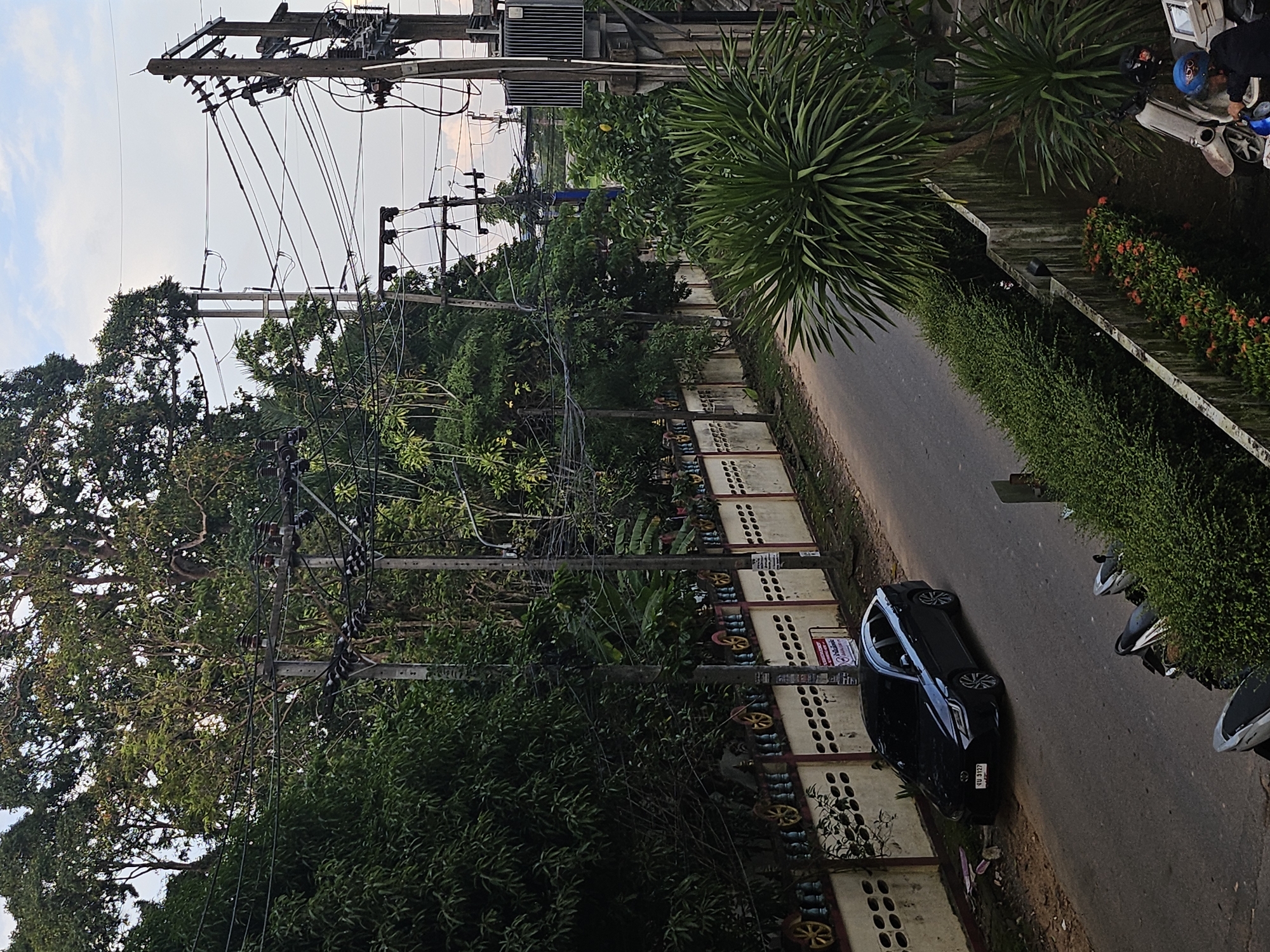 This image captures a street scene in Kathu, Thailand, dominated by lush green foliage and urban infrastructure. A black sedan is parked on the right side of a paved road, its license plate reading "กบ 3127". Further down the road, two motorcycles are parked. Overhead, a dense network of electrical wires and utility poles crisscrosses the sky, interspersed with the branches of large trees. A white and beige wall runs along the left side of the road, adorned with decorative circular patterns in yellow and blue. In the foreground, a large, spiky green plant adds to the tropical feel. To the right, a utility transformer box is mounted on a pole. The sky above is a pale blue with some cloud cover.