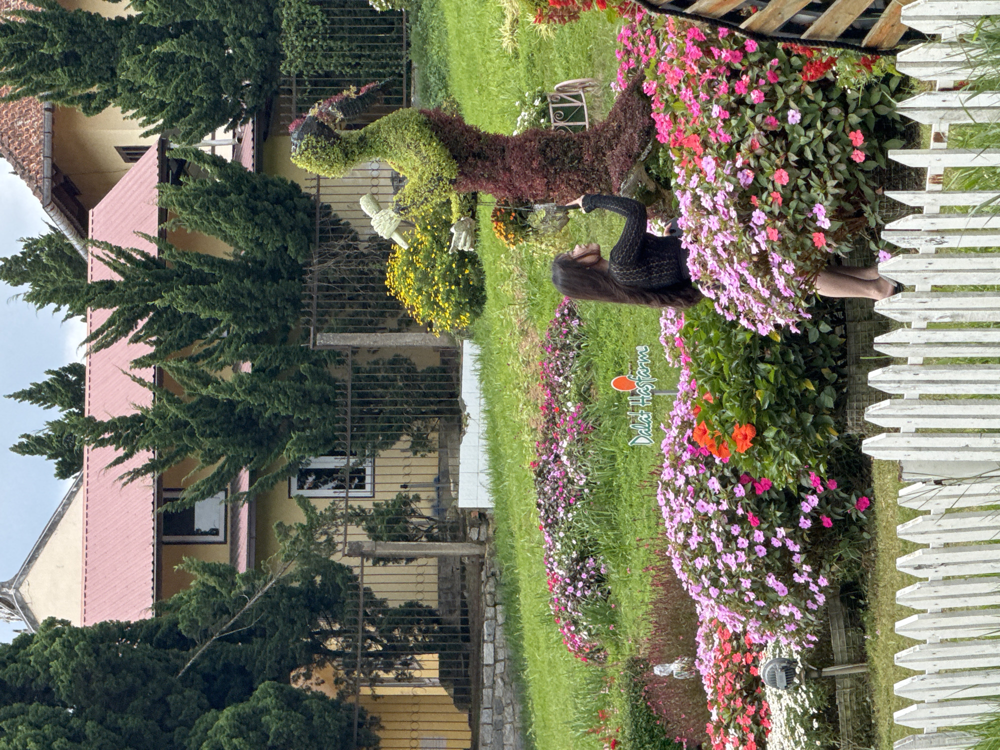 A full outdoor shot shows a woman standing in a garden in Da Lat, Vietnam. The woman is wearing a black long-sleeved shirt and is looking up and to her left while pointing with her right index finger. She is surrounded by blooming flowers in shades of pink, red, and white. In the background, a topiary shaped like a peacock stands on a hill covered with red and green foliage, holding what appears to be a microphone. Behind the topiary, a yellow building with a red roof and dark windows is visible, partially obscured by tall green trees. A white picket fence runs along the bottom of the image, and a sign with the words "Dalat Hasfarm" is visible in the middle ground. The environment is lush and green, with a slight overcast sky.