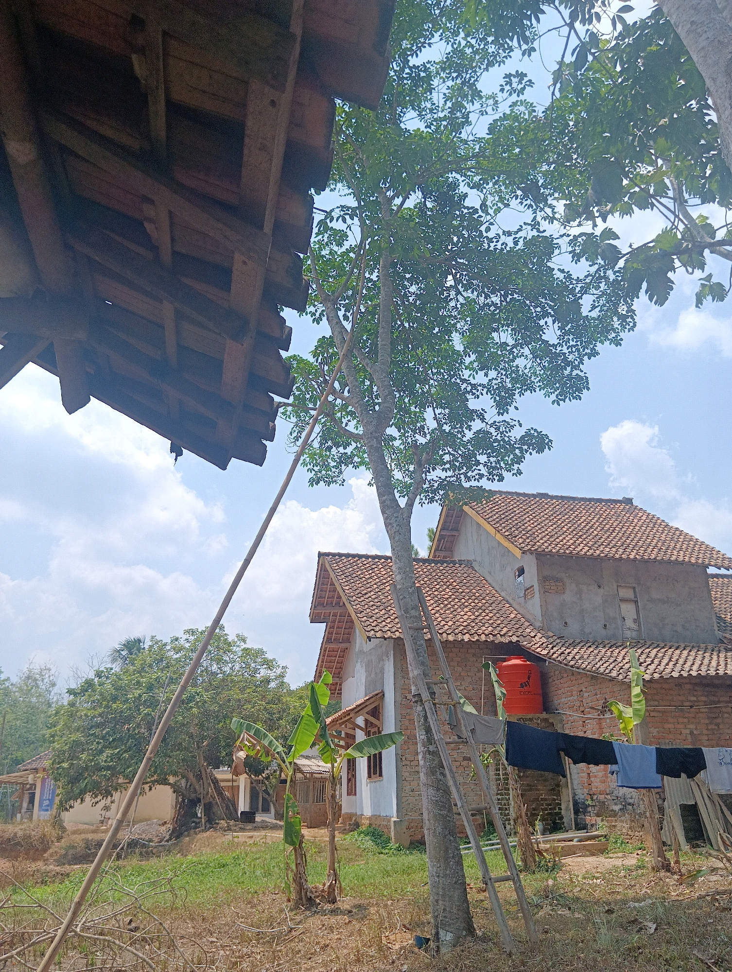 The image depicts an outdoor scene in Pematang Jaya, Indonesia, on a bright, clear day with scattered clouds. In the foreground, a large tree with lush green foliage dominates the center-right of the frame. Leaning against this tree is a wooden ladder. Below the tree and to the right, a house with a red tile roof is visible. Clothes are hung on a clothesline in front of the house, and an orange water tank is mounted on the wall. To the left of the tree and ladder, another, older wooden structure with exposed beams is partially visible. The ground is covered in dry grass and scattered debris. In the background, more trees and houses can be seen, suggesting a rural or semi-rural setting. The overall impression is one of everyday life in an Indonesian village.