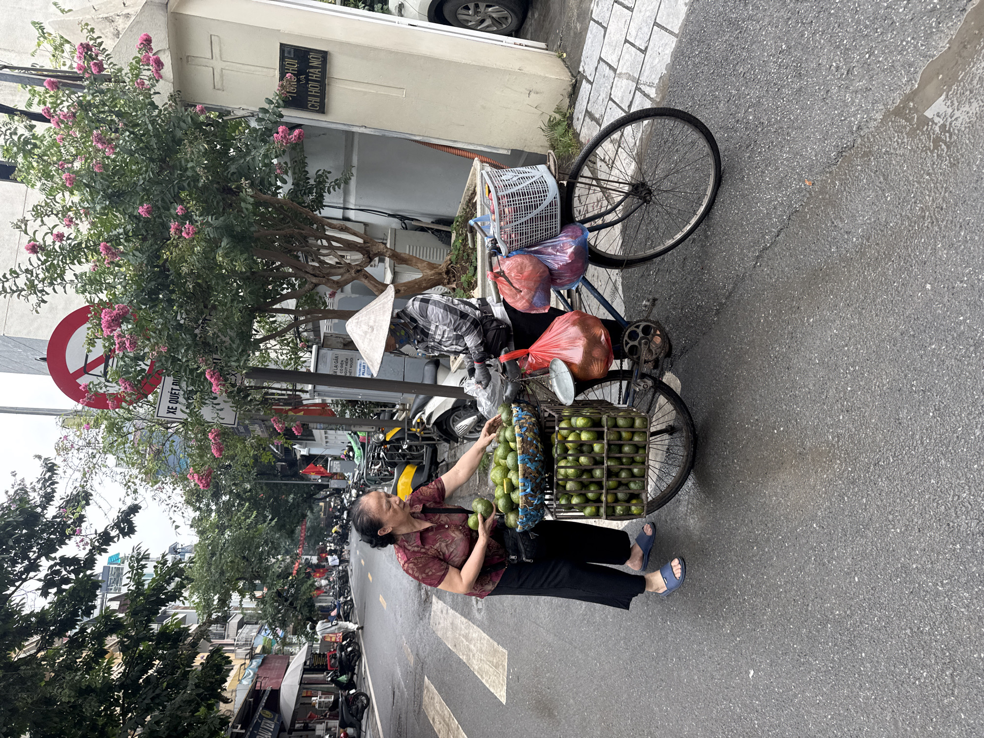 An eye-level, medium-shot image presents a street scene in Hà Nội, Vietnam. A woman stands next to a bicycle on a wet asphalt road, holding a green fruit and gesturing towards a wire basket laden with the same fruit. She has dark hair, wears a patterned brown and red top, black pants, and blue sandals.
The bicycle is laden with various items: a white plastic basket, two red plastic bags, and additional bundles. Behind her, scooters and parked motorcycles line the side of the street, indicating urban traffic. A "No Entry" road sign is visible on a metal pole obscured by green foliage and pink blossoms.
Buildings line the street in the background. A sign displaying "TONG HOI VA CHI HOI HA NOI" is affixed to a building behind the bicycle. A white building with a cross emblem is also visible. The scene captures an everyday moment of street commerce in Hà Nội.