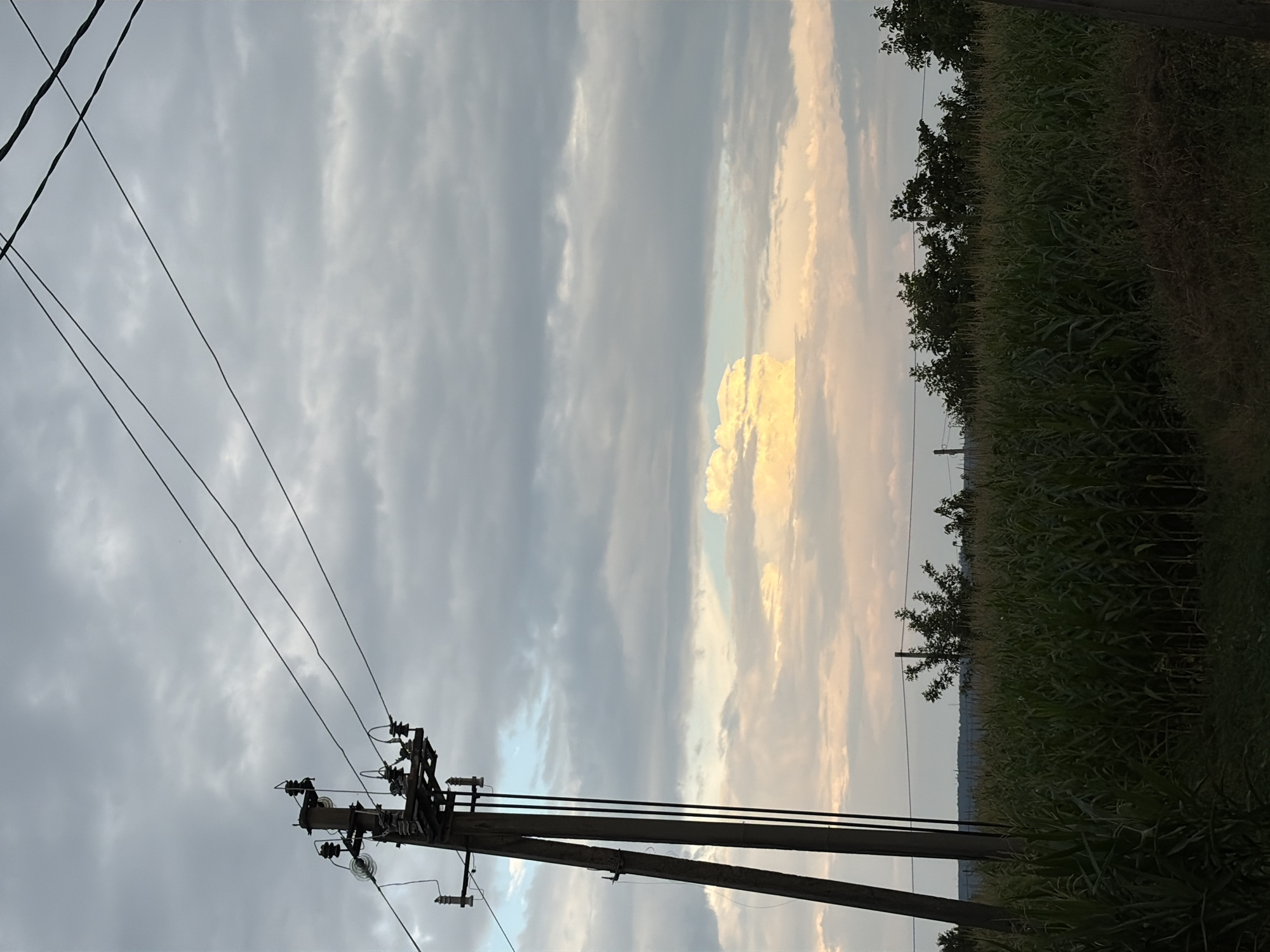 The image depicts a rural landscape under a cloudy sky, likely in Oxentea, Moldova. A wooden utility pole with multiple insulators and wires stands prominently on the left side of the frame. Power lines stretch across the upper portion of the image. In the middle ground, a dense field of green cornstalks extends horizontally. A line of trees forms a dark silhouette against the sky behind the cornfield. A small cluster of bright, illuminated clouds is visible in the distance. The overall lighting suggests it is either early morning or late afternoon.