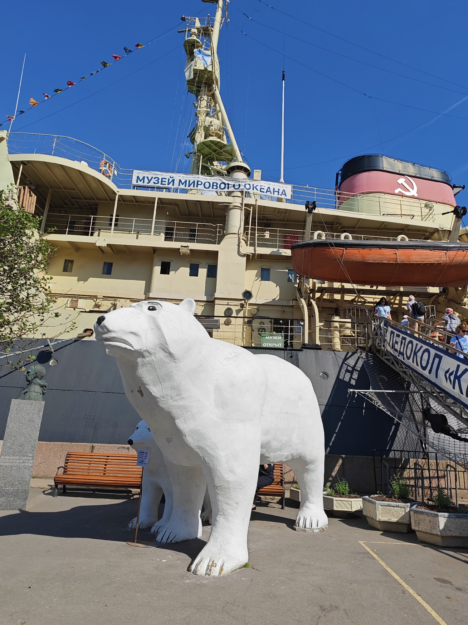 The image captures a sunny outdoor scene featuring a large, multi-decked vessel, likely an icebreaker, docked and serving as a museum in Saint Petersburg, Russia. The ship is predominantly light beige with a dark gray hull, equipped with railings, windows, and a tall mast adorned with flags. A clear blue sign on its superstructure reads "МУЗЕЙ МИРОВОГО ОКЕАНА" (Museum of the World Ocean), identifying it as a "МУЗЕЙ-ЗАПОВЕДНИК-" (Museum-Reserve) under the "МИНИСТЕРСТВО КУЛЬТУРИ РОССИЙСКОЙ ФЕДЕРАЦИИ" (Ministry of Culture of the Russian Federation). A red and black smokestack prominently displays a hammer and sickle emblem, indicating its Soviet-era heritage. A bright orange life raft is suspended from the ship's side.
In the foreground, a large, weathered white statue of a polar bear stands looking skyward, with a smaller polar bear partially visible behind it. To the left, a bronze bust on a granite pedestal and a wooden bench are visible. To the right, several casually dressed people are seen ascending a metal gangway to board the ship. The gangway has "ПЕДОКОЛ «К" (Icebreaker "K") written along its side, and a green sign at its base reads "МУЗЕЙ ОТКРЫТ" (Museum Open). Concrete planters with greenery are placed near the gangway.
The scene takes place on a bright, clear day, indicated by the vibrant blue sky and distinct shadows, suggesting good weather for visitors exploring this historical maritime attraction.