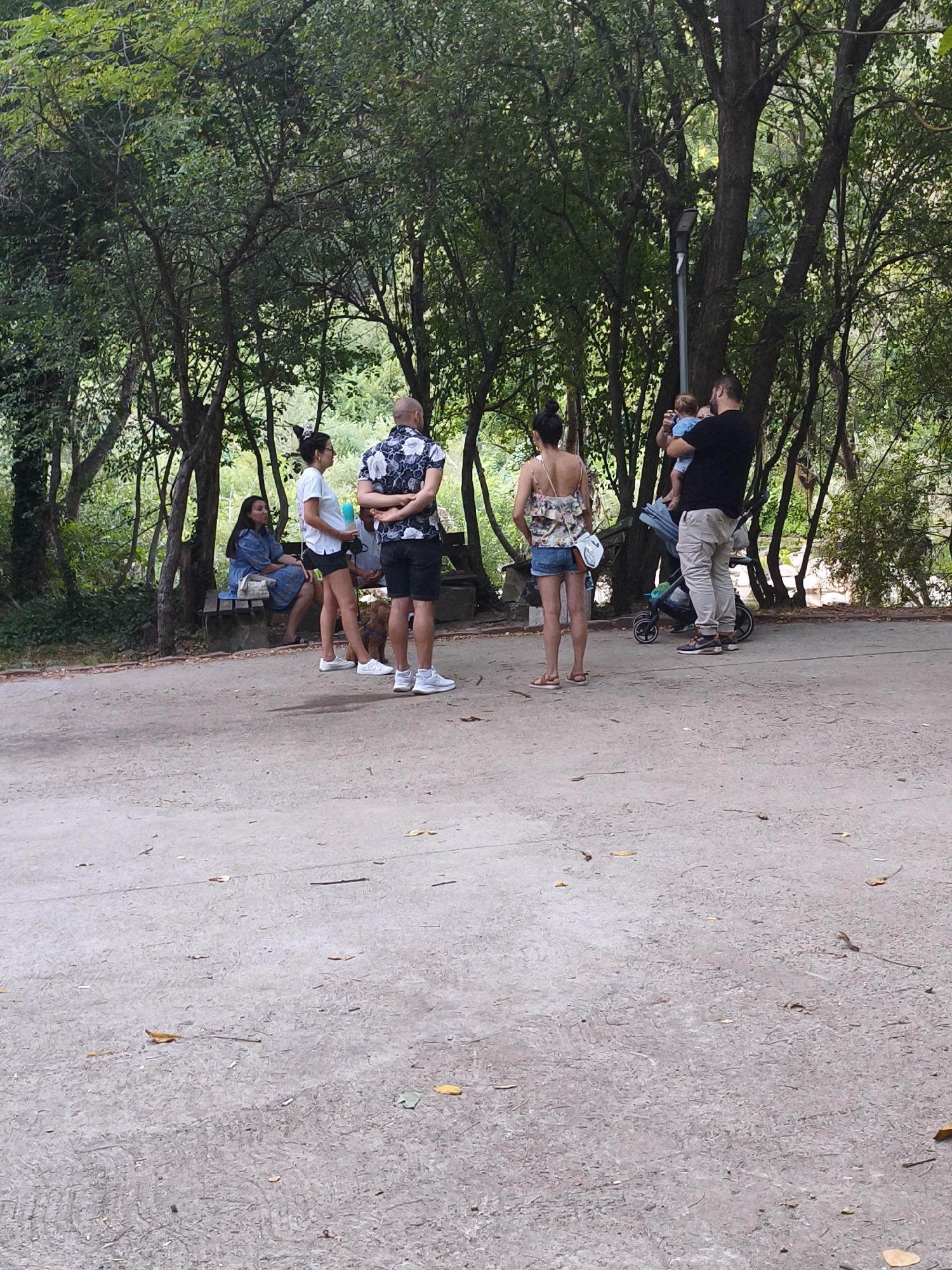 In the city of Lovech, Bulgaria, a group of people are gathered in a park setting. The scene is characterized by a paved pathway in the foreground with scattered leaves and debris. In the background, lush green trees with dense foliage create a natural canopy. A concrete bench is visible to the left, on which a woman in a blue dress is seated, with a handbag next to her.
Further to the right, three adults and a baby are present. One man, wearing a black t-shirt and light-colored pants, is holding a baby in his arms and is facing away from the camera. Next to him, a woman in a floral top and denim shorts stands facing him. Another woman, in a white t-shirt and black shorts, stands near the first woman. A man in a floral shirt and black shorts is standing to the right of the woman in the white t-shirt, facing away from the camera. A stroller is positioned behind the woman in the floral top. The overall ambiance suggests a casual outdoor gathering.