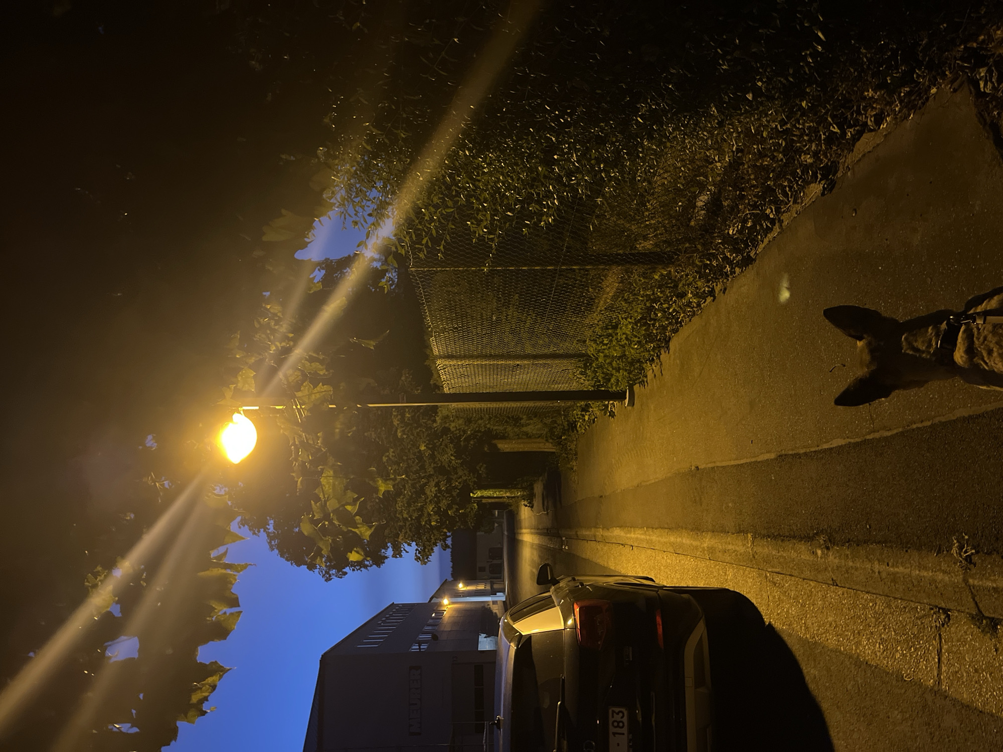 The image depicts a street scene at night, illuminated by a streetlamp. In the foreground, the rear of a dark-colored SUV is parked on the left side of the street. A portion of a dog's head and shoulders are visible in the lower right quadrant, suggesting the dog is on a leash and walking alongside its owner, who is presumably holding the camera. The street is paved and appears to be a quiet lane or alley, with a sidewalk on the right side bordered by a chain-link fence and dense vegetation. A building with multiple windows and the word "MEURER" visible on its facade is situated on the left side of the street in the background. The sky is a deep blue, indicating twilight or early night. The scene has a general appearance of a residential or industrial area on the outskirts of a town. The precise location in Saint-Vith, Belgium cannot be determined from the visual information alone.