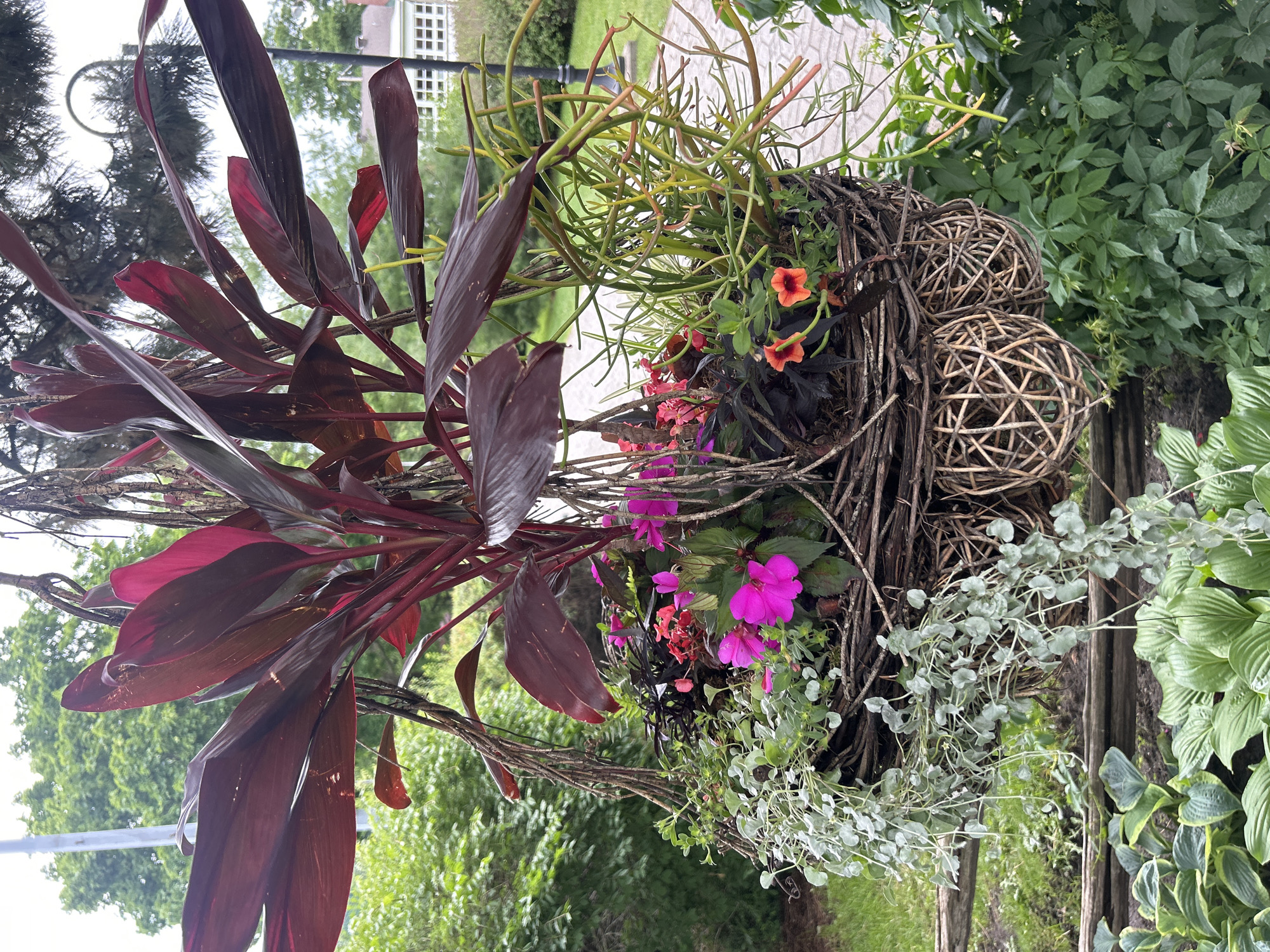 This is a close-up, vertical-oriented photograph of a decorative hanging planter filled with a variety of plants. The planter itself appears to be made of woven branches, with three spherical woven decorative elements attached to its side.
The plants within the planter include large, deep red, lance-shaped leaves of what appears to be a Cordyline variety, spilling out from the left side of the arrangement. Interspersed are smaller, delicate pink and vibrant fuchsia impatiens flowers. A succulent with numerous thin, green stems and small red tips, possibly a Pencil Cactus or Rhipsalis, occupies the upper portion of the planter. Cascading over the edge on the right is a trailing plant with small, silvery-green leaves and delicate stems. In the background, lush green foliage and the top of a white building with a grid-like window structure are visible.
The scene is outdoors, and the lighting suggests it is daytime, possibly overcast given the soft illumination. The presence of the building in the background, along with the type of foliage, suggests a temperate climate, consistent with a location like Mount Royal, Canada. No people are visible, and the overall mood is serene and naturalistic. There is no visible text in the image.