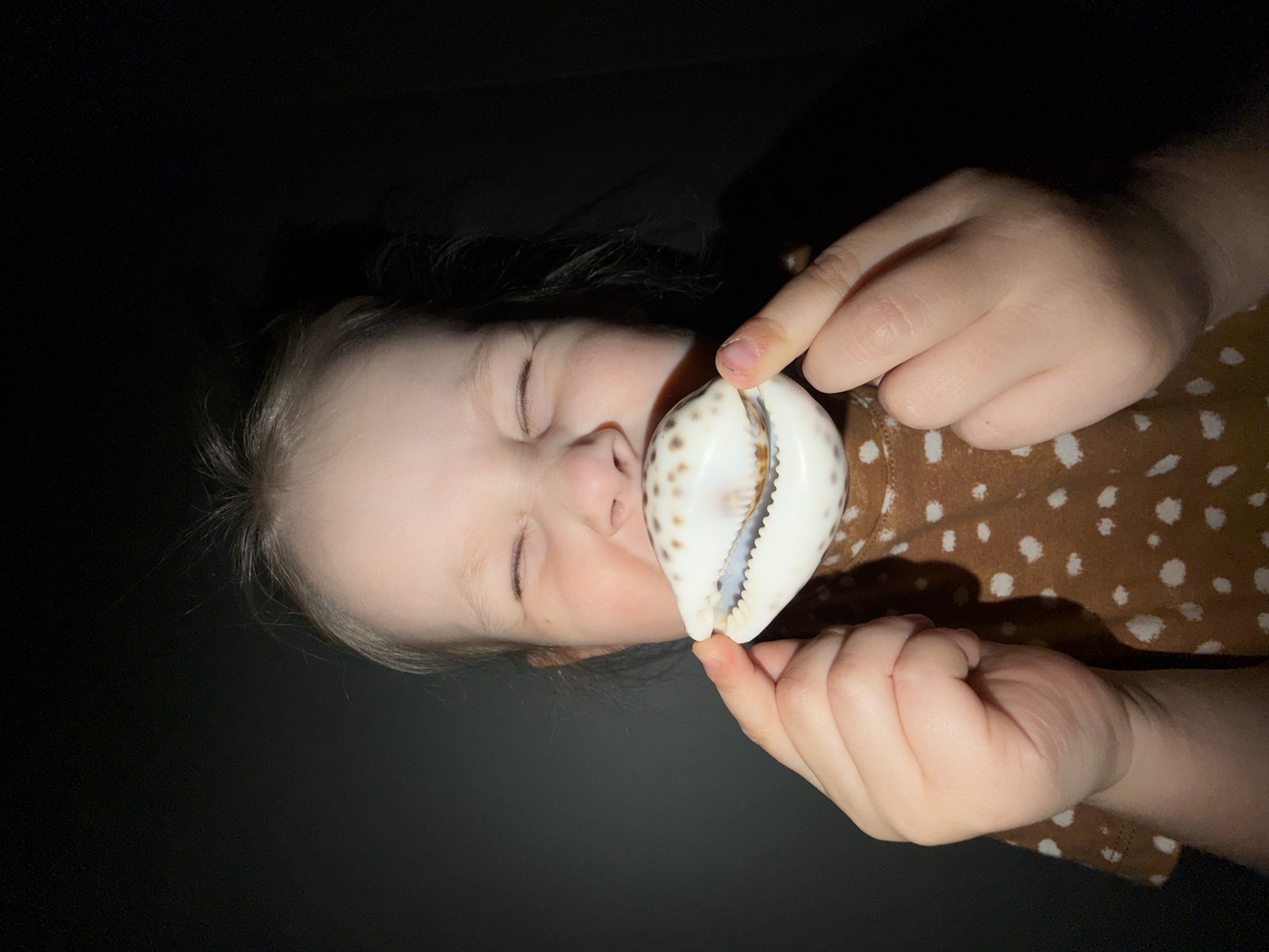 A close-up, portrait-oriented image shows a young child with light hair holding a seashell to their face against a dark background. The child's eyes are closed, and their expression appears peaceful and focused, suggesting they might be listening to or feeling the shell.
The child is wearing a brown shirt adorned with white polka dots. Their right hand gently supports the seashell, which is a light-colored, spotted cowrie shell. The shell has distinct brown spots on its creamy white surface, and its textured, serrated opening is clearly visible near the child's nose and mouth. The child's fingers and part of their arm are visible, showing soft skin.
The background is uniformly dark, creating a strong contrast that highlights the child's illuminated face and the seashell. The lighting appears to come from the left, casting a soft glow on the child's features and the shell, while leaving much of the scene in shadow. There is no visible text in the image. The moment captured conveys a sense of curiosity and sensory engagement. The provided location context is Khimki, Russia.