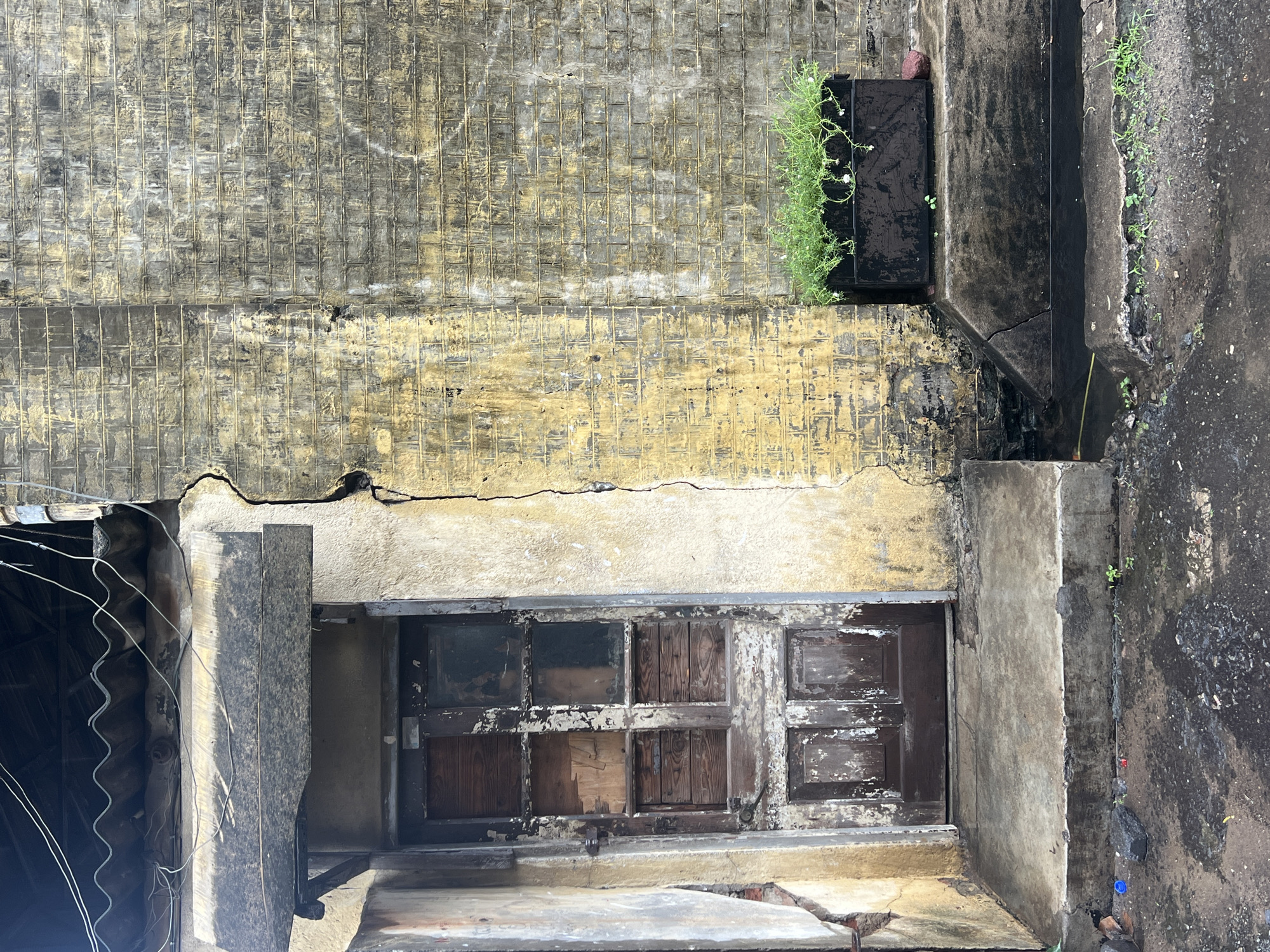 The image depicts the exterior of a weathered building. The foreground shows a cracked concrete entryway with scattered debris, including a blue plastic cap and a dark rock. To the left of the entryway is a dilapidated wooden door with multiple panes, some of which are boarded up and others containing glass or missing. The door is set within a crumbling stucco wall that is stained and discolored. To the right of the door, the building continues with a textured brick wall that exhibits significant yellowing and dark staining, suggesting age and exposure to the elements. A prominent vertical crack runs down the center of the stucco and brickwork. In the middle ground, a black planter box filled with lush green plants, some with small white flowers, sits on a raised concrete platform. The overall environment appears to be an outdoor urban setting, possibly in an alley or less-maintained area, characterized by decay and neglect.