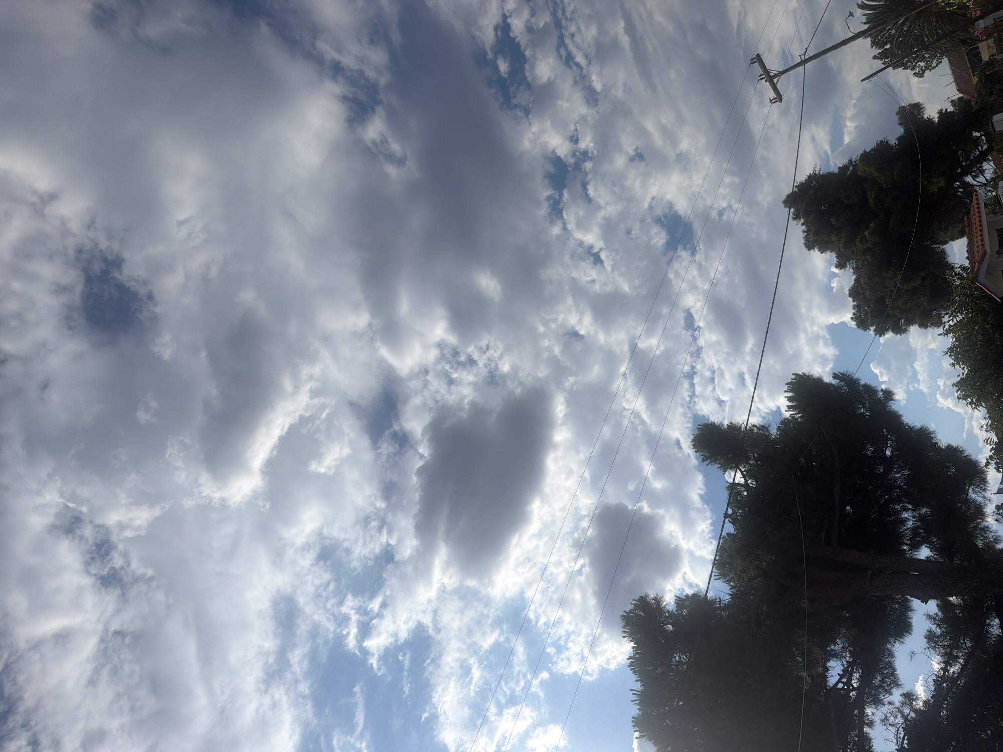 This media file shows a sky filled with a mixture of white and dark gray clouds. The clouds are varied, with some appearing wispy and scattered, while others are denser and more shadowed, suggesting a partly cloudy or overcast day. Patches of blue sky are visible between the clouds, particularly towards the bottom right of the frame.
In the upper right quadrant, a utility pole with crossbeams and multiple wires stretches across the sky. Some of these wires extend diagonally downwards and to the left, intersecting the cloudscape.
The bottom half of the image features the tops of trees, which are dark green and appear to be coniferous, with one large, dense tree dominating the lower right section. Part of a tiled roof, likely from a building, is also visible in the upper right, peeking out from behind the trees. The perspective is looking upwards into the sky, with the trees framing the lower part of the scene.
The overall impression is of an outdoor scene, possibly in a residential or semi-rural area, given the presence of trees and utility lines. The lighting suggests it is daytime, but the cloud cover might indicate diffused sunlight. There is no visible text in the image.
