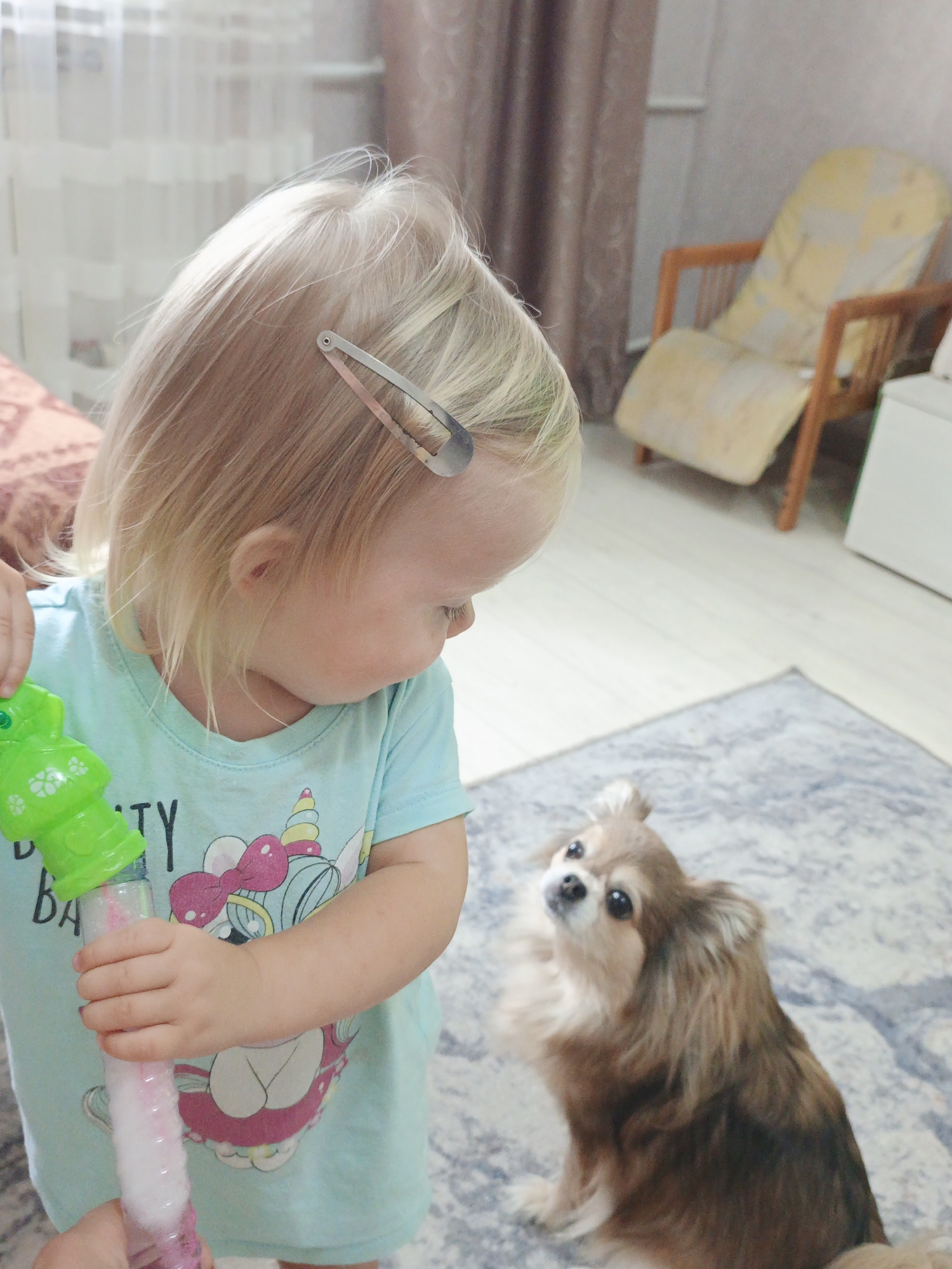 In a brightly lit indoor setting, a young girl with blonde hair and a silver barrette is holding a green bubble wand. She is wearing a light blue t-shirt with a unicorn graphic. The girl is looking down towards a small, long-haired brown dog sitting on a patterned rug. The dog is looking up at the girl. In the background, there is a light-colored armchair with a yellow patterned cushion and a beige curtain. This scene appears to be taking place in a residential living space within Zlatoust, Russia.