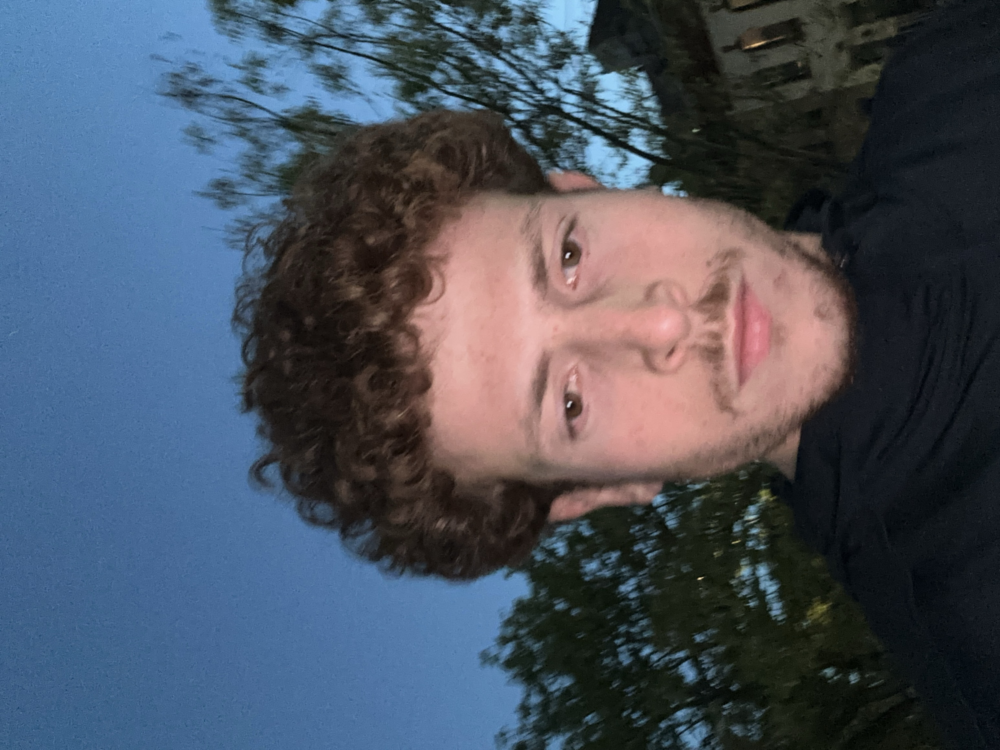 The image is a portrait of a young man, appearing to be a selfie, taken outdoors during evening or dusk, with the location context provided as New York, USA. The subject is a man with light skin, medium-length brown curly hair, and light stubble on his upper lip and chin. He has brown eyes and is looking directly at the camera with a neutral to slightly serious expression. He is wearing a dark, possibly black, long-sleeved top or jacket.
The background features a deep blue sky, indicating twilight hours. Silhouetted against the sky are trees with visible branches and foliage, suggesting a natural, possibly urban park or street-side setting. A faint, dark architectural structure, likely a building, is dimly visible in the upper right background. The lighting is dim, consistent with the time of day, and the man's face appears somewhat more illuminated than the background, possibly by the light from a phone screen or nearby ambient lighting. There is no visible text in the media file. The original image is rotated 90 degrees, but when viewed upright, the man's head occupies the left side of the frame, with the background extending to the right.
