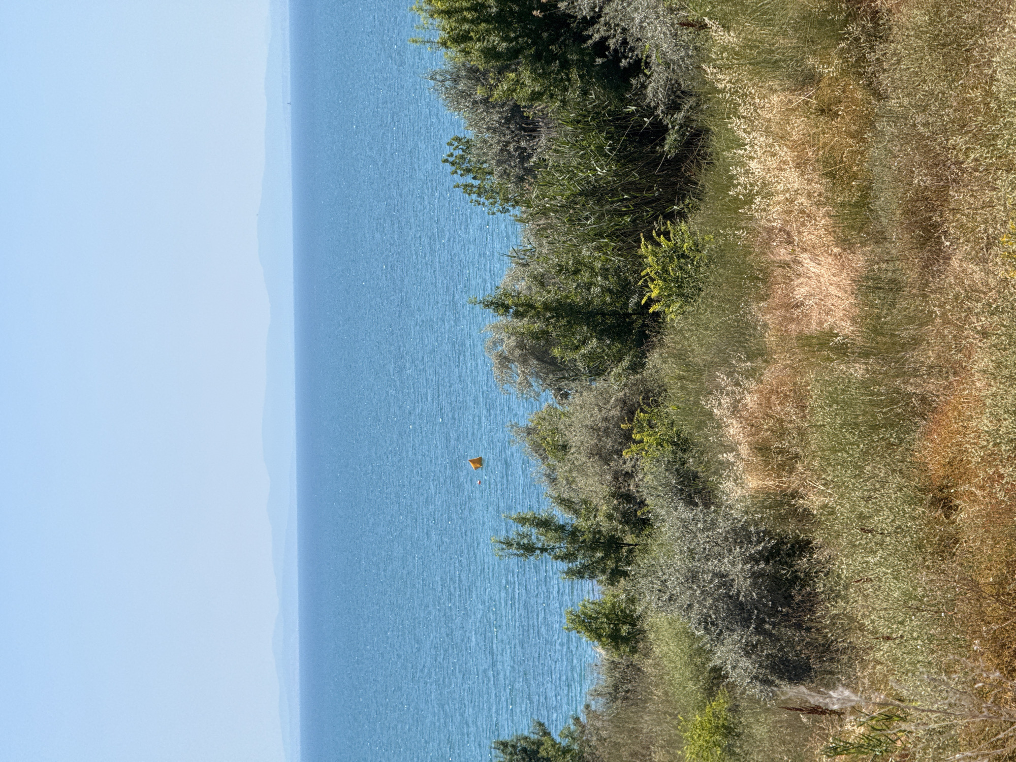 The image depicts a clear, sunny day at the coast of Ravda, Bulgaria. The scene overlooks the Black Sea, characterized by its tranquil, blue waters. In the distance, a hazy outline of mountains borders the horizon. Closer to the foreground, a lush, green hillside is covered in dense vegetation, including various shrubs and tall grasses. A small orange buoy floats on the surface of the sea, near the shoreline. The natural landscape suggests a coastal area with undeveloped or minimally developed terrain.