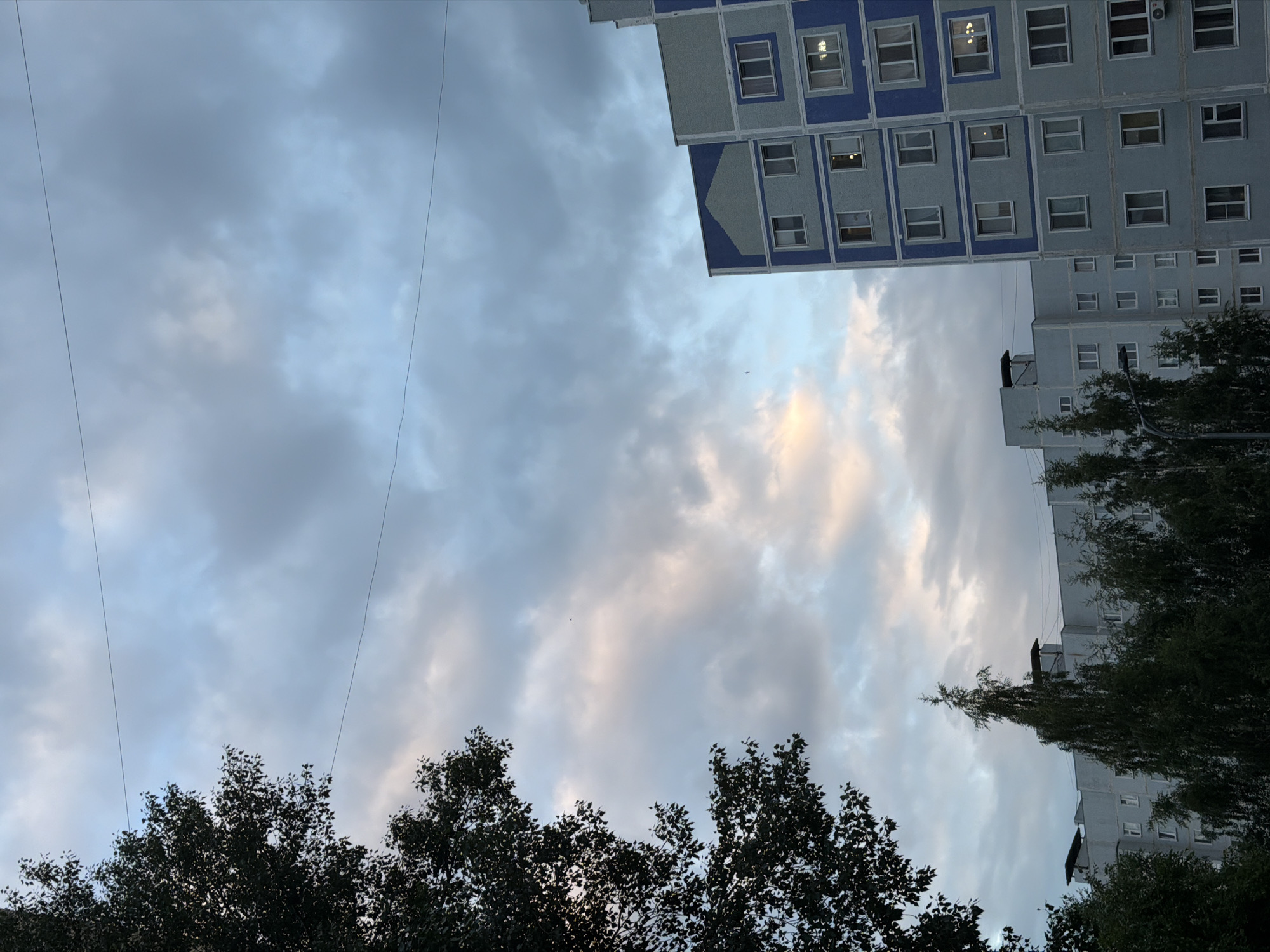 The image shows a view of apartment buildings and trees against a cloudy sky, likely taken in Nizhnekamsk, Russia. In the foreground on the left, the dark silhouette of a large tree with dense foliage is visible. Further into the frame, several apartment buildings are depicted. The building on the right is multi-story with a distinctive blue and light gray facade, featuring numerous windows. Behind it, another apartment building with a light gray exterior is partially visible, and further back, more apartment buildings recede into the distance, interspersed with trees. The sky is filled with a mix of gray and blue clouds, with hints of soft pink and yellow light suggesting either dawn or dusk. Two thin wires stretch horizontally across the upper portion of the sky. No people are visible in the image.