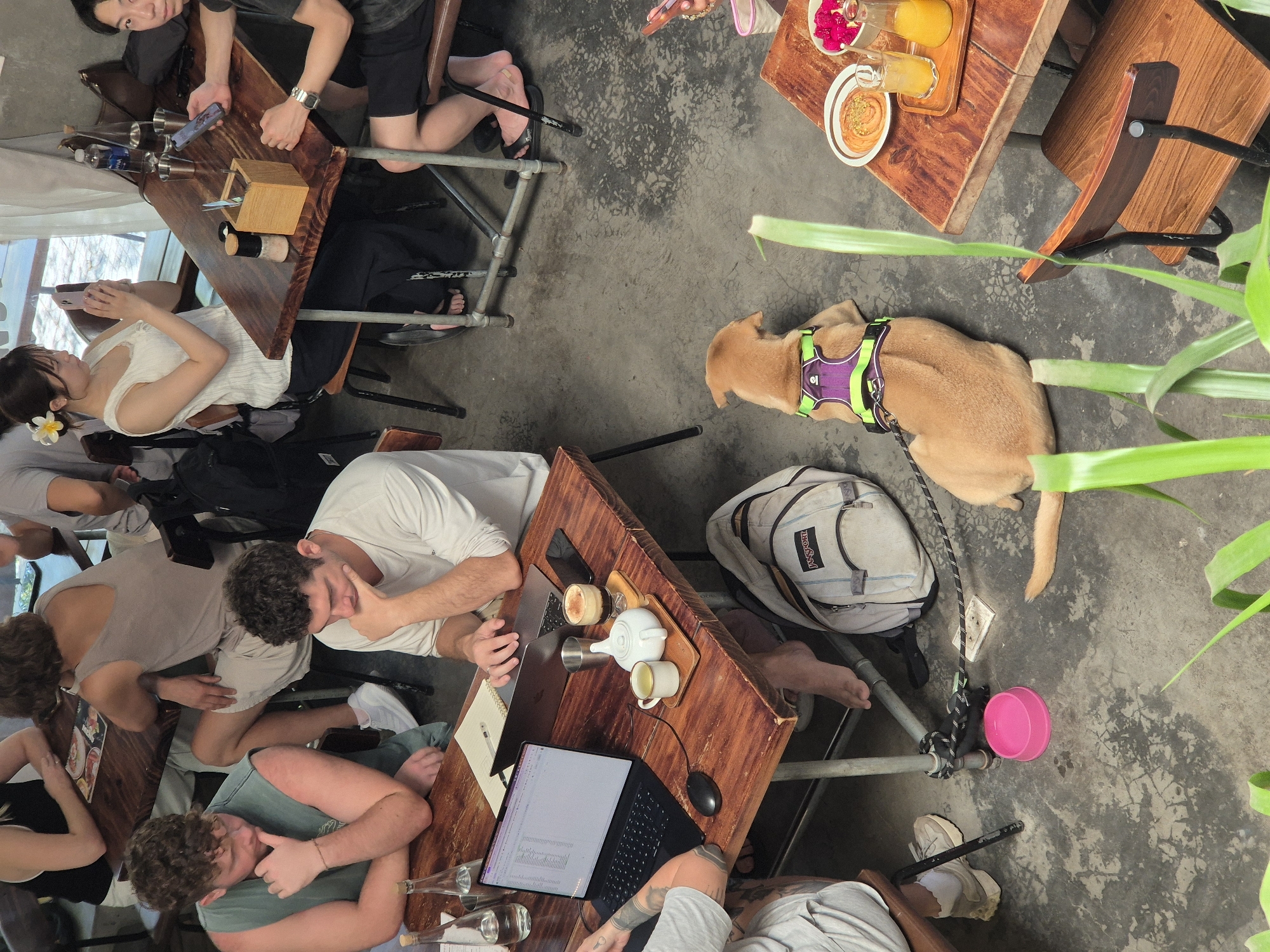 The image depicts a group of people seated at wooden tables in what appears to be a cafe in Đà Nẵng, Vietnam. The cafe has a casual, industrial aesthetic with concrete flooring and metal table legs.
In the foreground, a light brown dog wearing a purple and green harness is lying on the floor, facing away from the camera. A pink dog bowl is placed near it. A Jansport backpack is also on the floor next to the dog.
At one table, two men are working on laptops. One man, wearing a grey tank top, is looking down at his laptop with his hand on his chin. Another man, in a white t-shirt, is also looking at his laptop, with his hands on the keyboard. On the table, there are two laptops, a coffee cup, a teapot and cup set, and a phone.
At another table, a woman with a flower in her hair is taking a photo with her phone. She is wearing a white top and dark pants. To her right, a man with short dark hair is looking at his phone. This table also has drinks and a wooden box with salt and pepper shakers.
In the background, other individuals are partially visible, suggesting a busy cafe environment. Sunlight streams in from a window, illuminating the scene. The overall atmosphere seems relaxed and conducive to working or socializing.