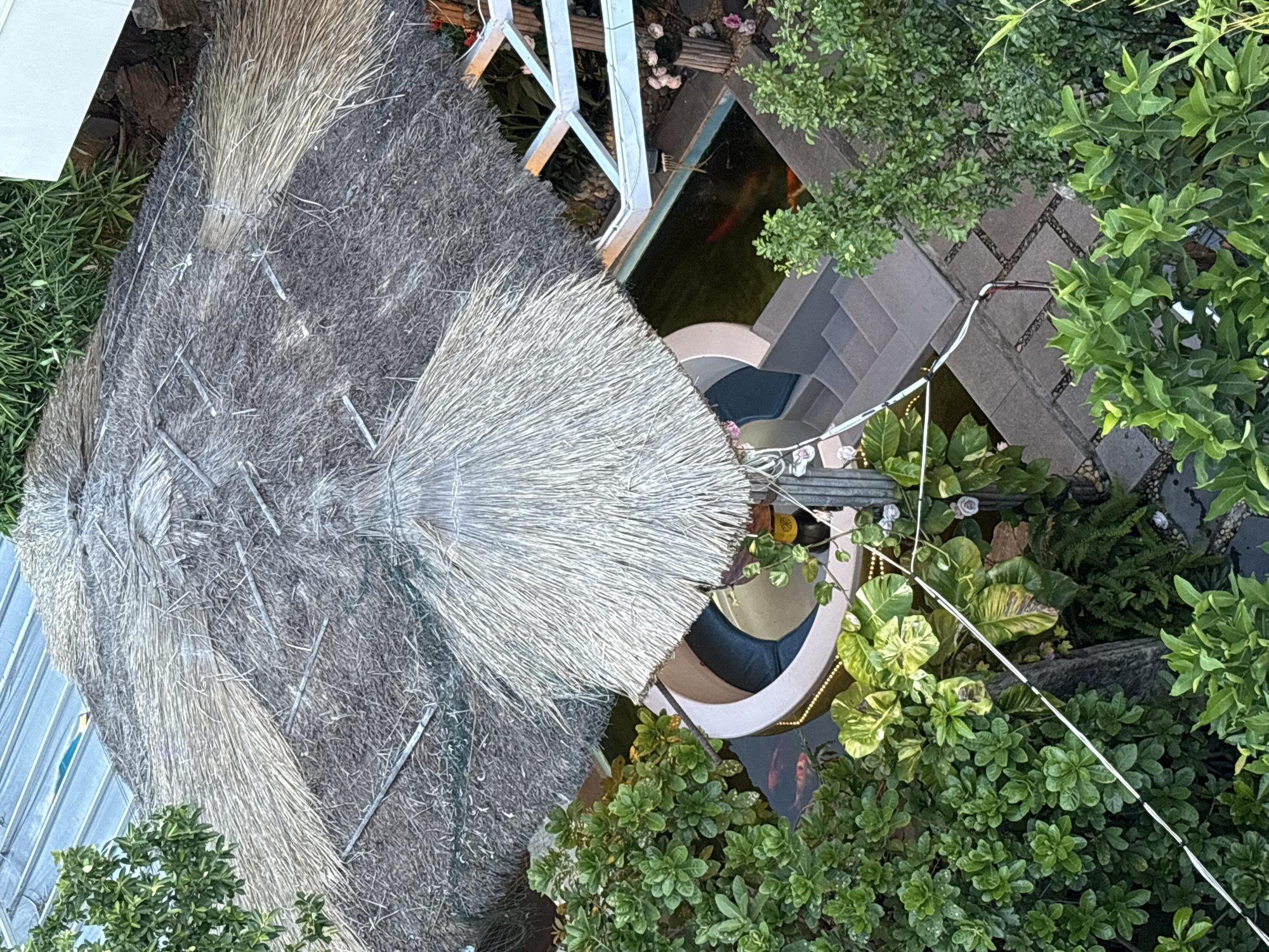 This is an aerial, high-angle shot of an outdoor seating area with a thatched roof, located in Nam Nha Trang Ward, Vietnam. The main feature is a circular, light-colored seating structure with dark blue cushions, partially covered by a conical thatched umbrella. To the right of the seating area is a koi pond with several orange fish visible. Stone steps lead down to the pond and seating area, and a pathway made of stone pavers is visible in the foreground. Lush green foliage surrounds the seating area and pond. The background includes a corrugated metal roof structure and a white structure with white beams. There are no people visible in the image.