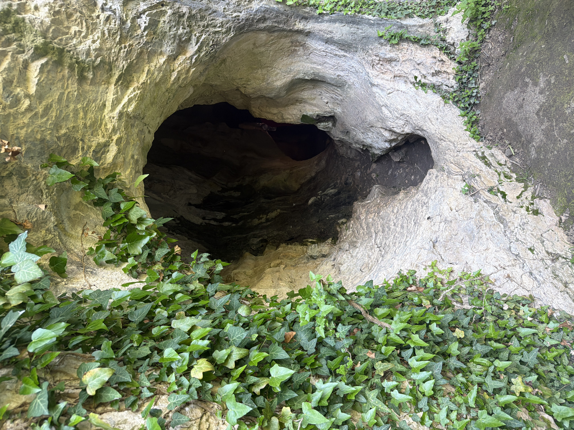 The image shows the entrance to Devetashka Cave, located near the village of Devetaki, Lovech Province, Northern Bulgaria. The cave opening is surrounded by light-colored limestone rock, partially covered with green ivy. The interior of the cave is dark and obscured from view. Part of the cave is visible on the right of the larger hole.