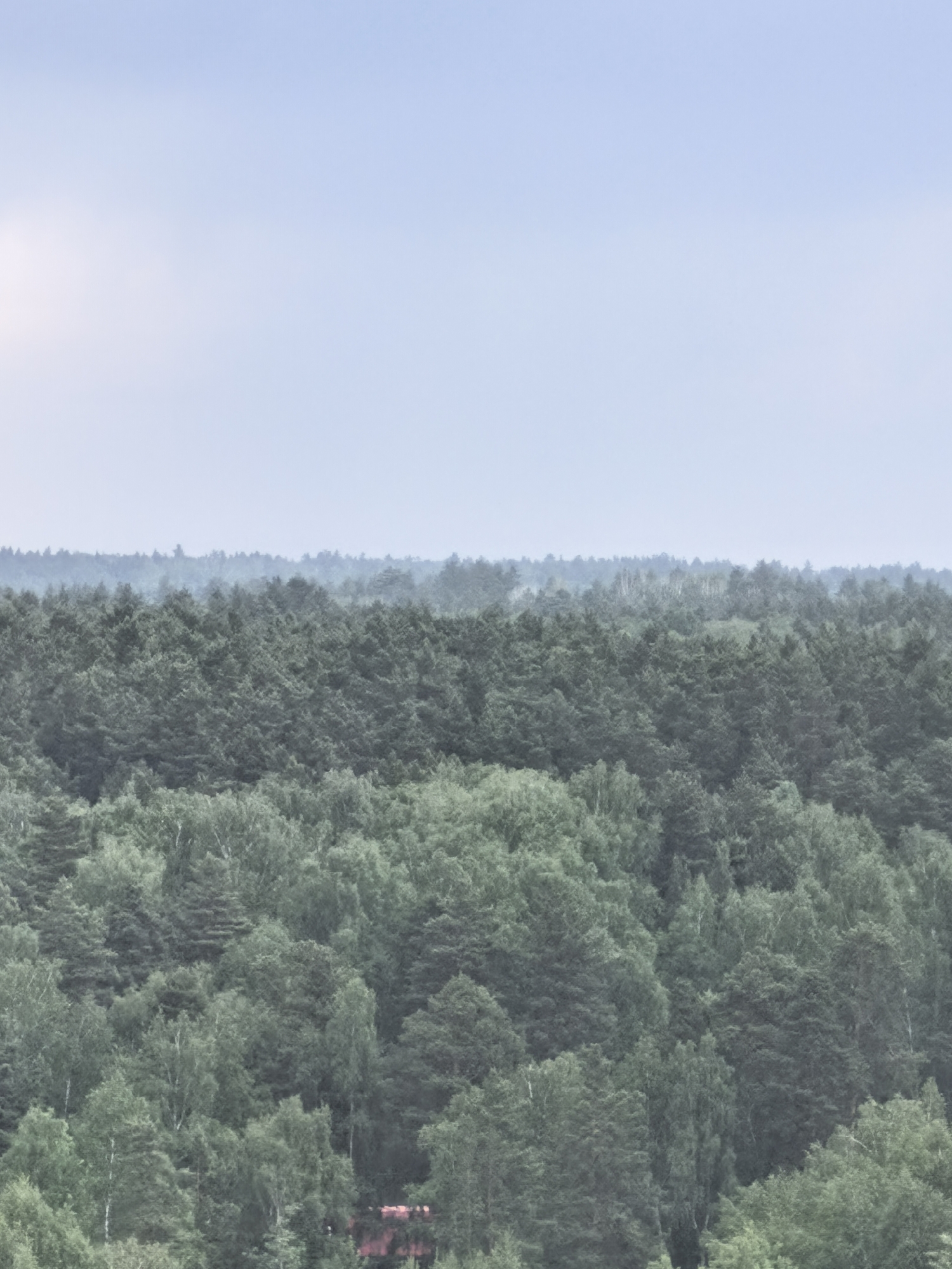 The image displays a wide, elevated view of a dense forest under a light blue-grey, overcast sky. The sky occupies the upper third of the frame, appearing smooth and diffused, suggesting either an overcast day or atmospheric haze.
The landscape is dominated by a vast expanse of trees, stretching from the immediate foreground to the distant horizon. In the foreground and midground, the forest consists of a mix of tree types; darker green, possibly coniferous trees with pointed crowns are interspersed with lighter green, deciduous trees, some with pale bark hinting at birch. The foliage shows various shades of green, indicating different species or lighting conditions within the canopy.
As the forest recedes into the distance, the trees become progressively lighter in color and less distinct, blurring into a soft, bluish-grey haze along the horizon. This atmospheric perspective creates a sense of immense depth and distance. No specific activity or event is visible, portraying a serene and expansive natural landscape. The overall mood is quiet and vast. A very small, indistinct reddish-orange object or structure is partially visible among the trees in the lower part of the image, towards the right. No text is present in the image.
