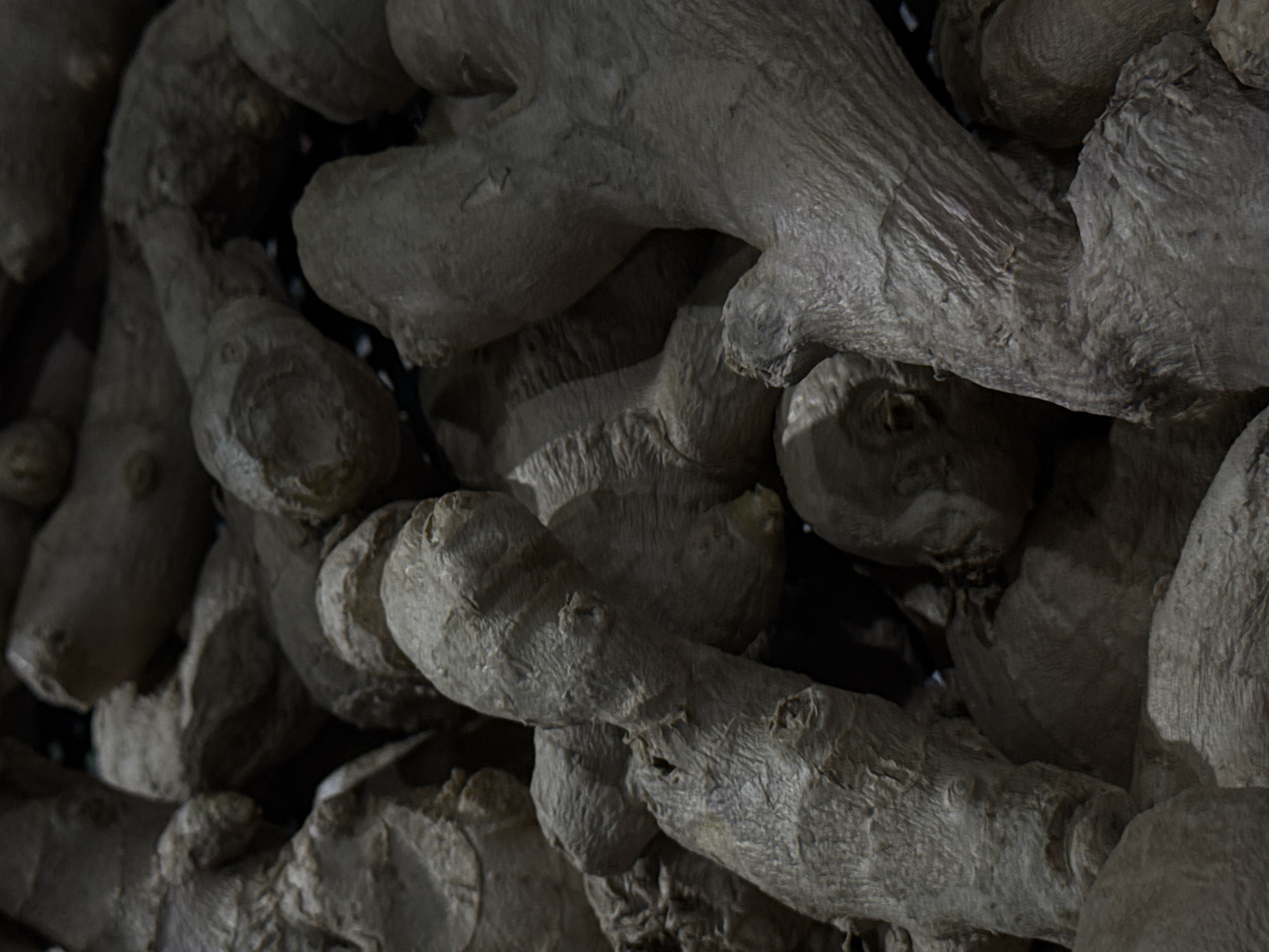 The image is a close-up, overhead view of a pile of dried ginger roots. The ginger roots are various shapes and sizes, with rough, textured skin. Some roots have knobby protrusions, while others are more elongated and branched. The lighting is dim, casting shadows and highlighting the textured surfaces of the ginger. There are no people or visible signs of human activity. The image does not contain any elements that would indicate a specific location in Moscow, Russia.