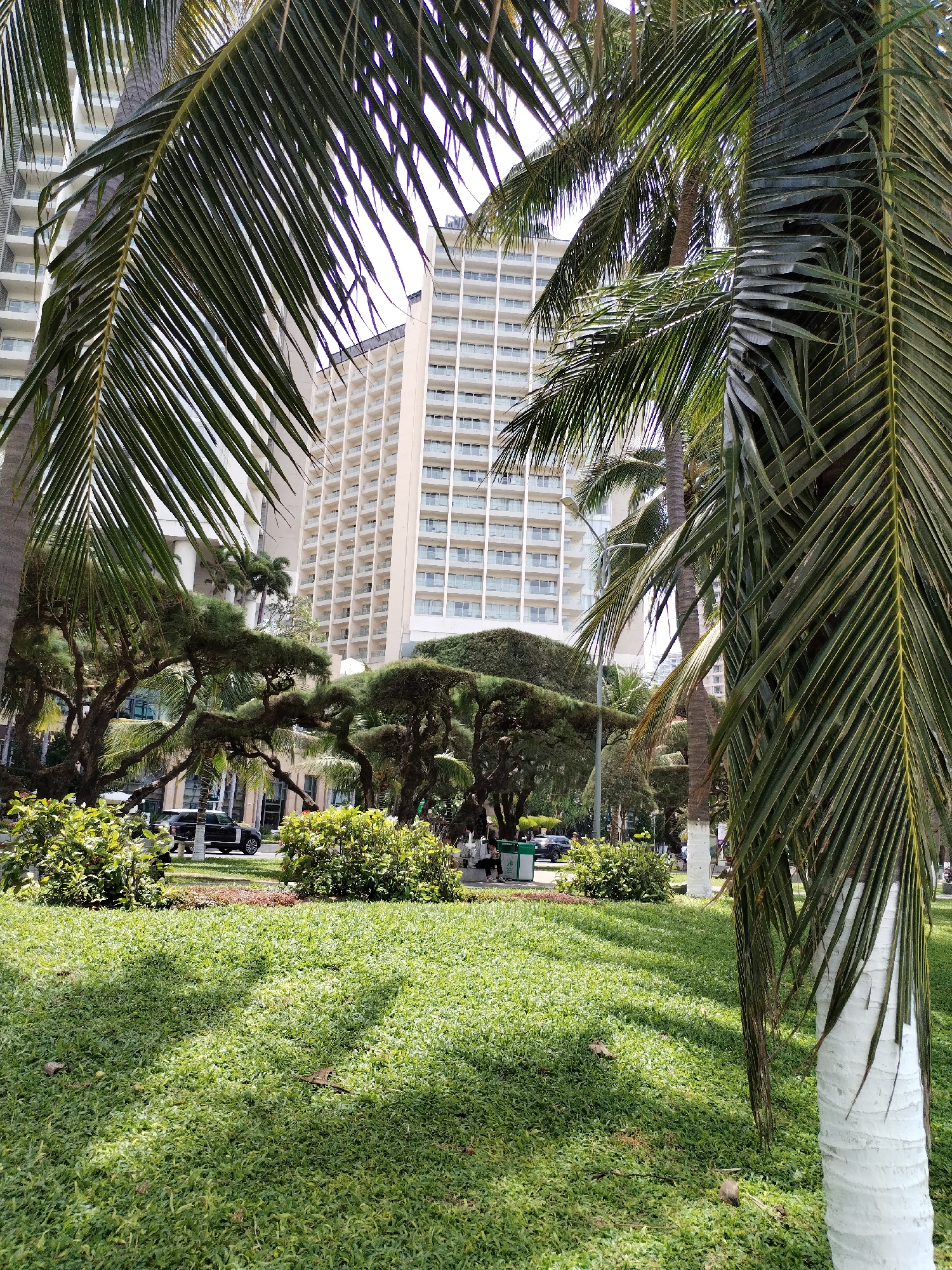 The image captures a sun-dappled lawn in front of a large, modern, multi-story hotel building. Several palm trees are visible, some with their fronds obscuring parts of the hotel and sky. The hotel, a cream-colored structure with numerous balconies, dominates the background. In the middle ground, there are several trees with twisted, dark trunks and manicured foliage, possibly bonsai-style. A black SUV is parked on a road behind these trees, with a few people sitting on a bench nearby. The foreground is covered with dense, short green grass. The scene appears to be a well-maintained public space or hotel grounds in a city, possibly Nha Trang Ward, Vietnam, given the presence of palm trees and the architectural style of the hotel, suggesting a tropical or subtropical coastal environment.