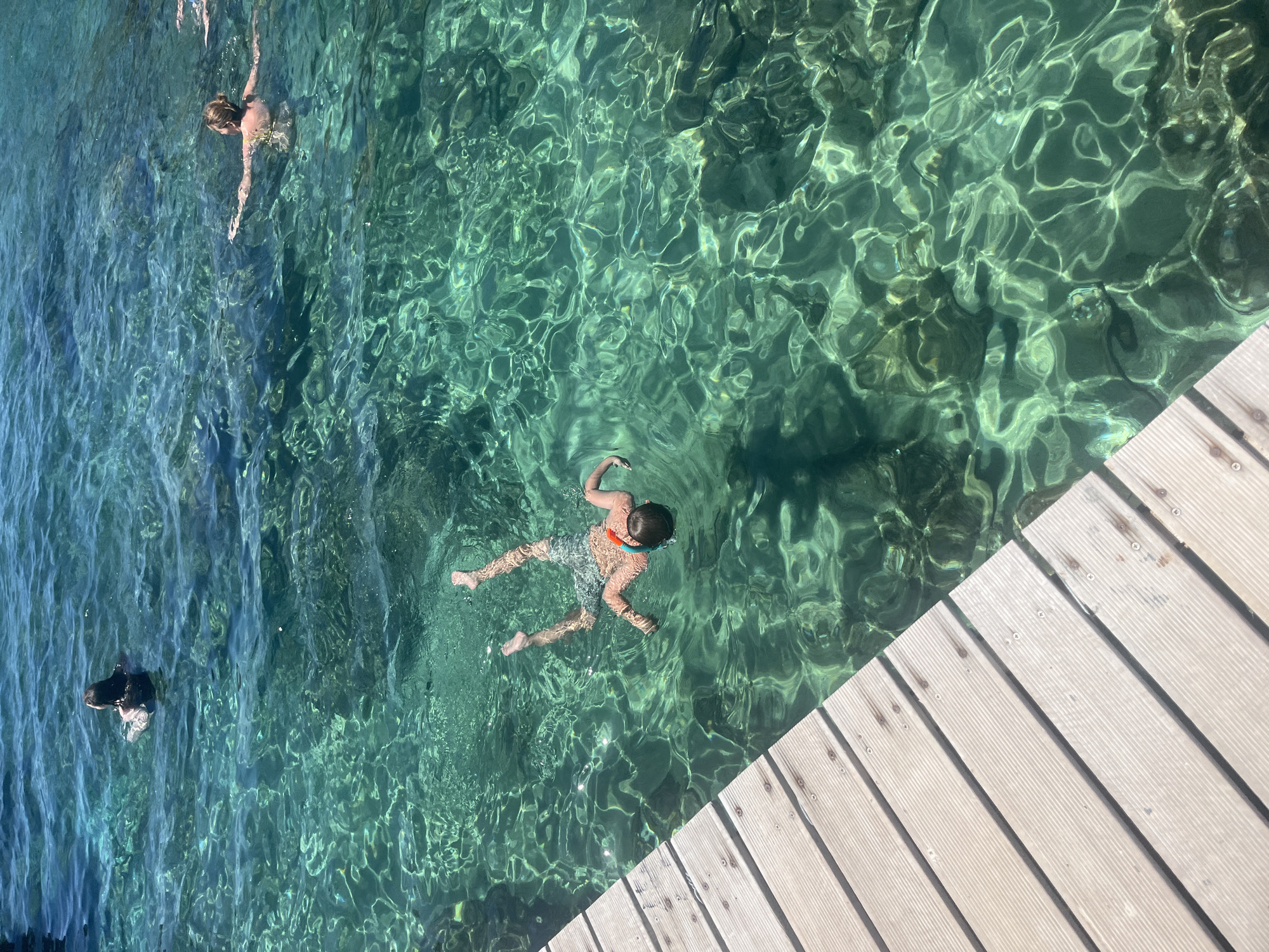 This high-angle shot captures a serene scene of people swimming and snorkeling in clear, turquoise water near a wooden pier. In the foreground, the weathered planks of a wooden pier run diagonally from the bottom left corner. The water is remarkably transparent, revealing the rocky seabed below, with sunlight creating dappled patterns on the surface.
Several individuals are visible in the water. A young person in the center of the frame is snorkeling, with a mask and snorkel visible, their body horizontal in the water. To the left, further back, another person swims with their head above water, facing away from the camera. Towards the upper right, a third individual swims on their back, arms outstretched. The presence of a pier suggests a waterfront location, potentially a beach, a cove, or a harbor area in Budva, Montenegro, known for its clear waters and coastal attractions. The overall atmosphere is one of leisure and enjoyment of the natural environment.