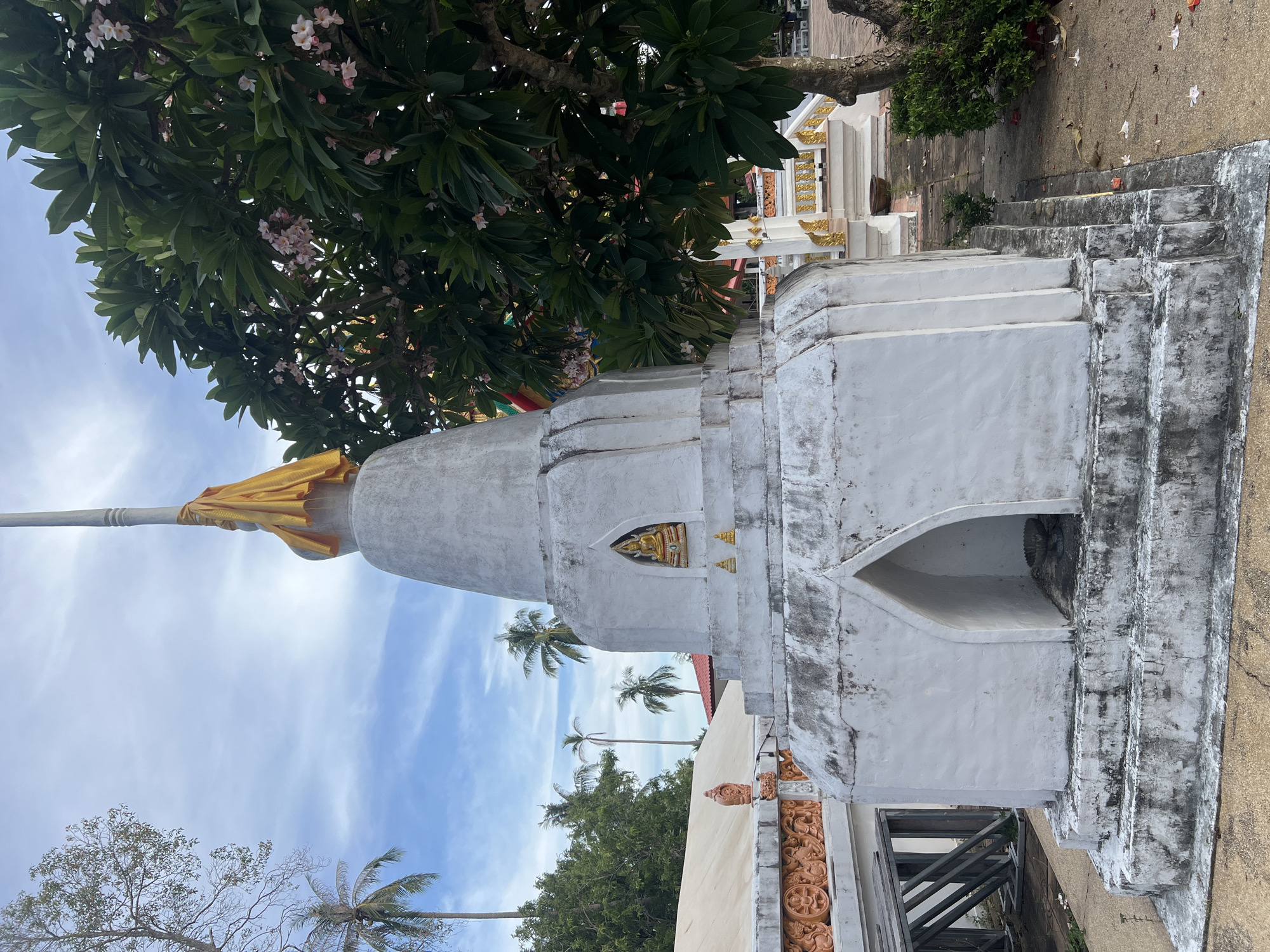 A white stupa stands in the foreground on a gray, weathered base. The stupa is topped with a white pole adorned with a yellow cloth. A small golden Buddha statue is visible within an arched niche on the stupa, flanked by two smaller golden statues. To the right of the stupa, a tree with green leaves and pink flowers is partially obscuring the view of a white and gold structure in the background. The ground is paved with gray concrete, and fallen pink and white flower petals are scattered around. In the distance, several palm trees and other lush greenery are visible under a blue sky with white clouds. The scene is located in ตำบลเกาะพะงัน, Thailand.