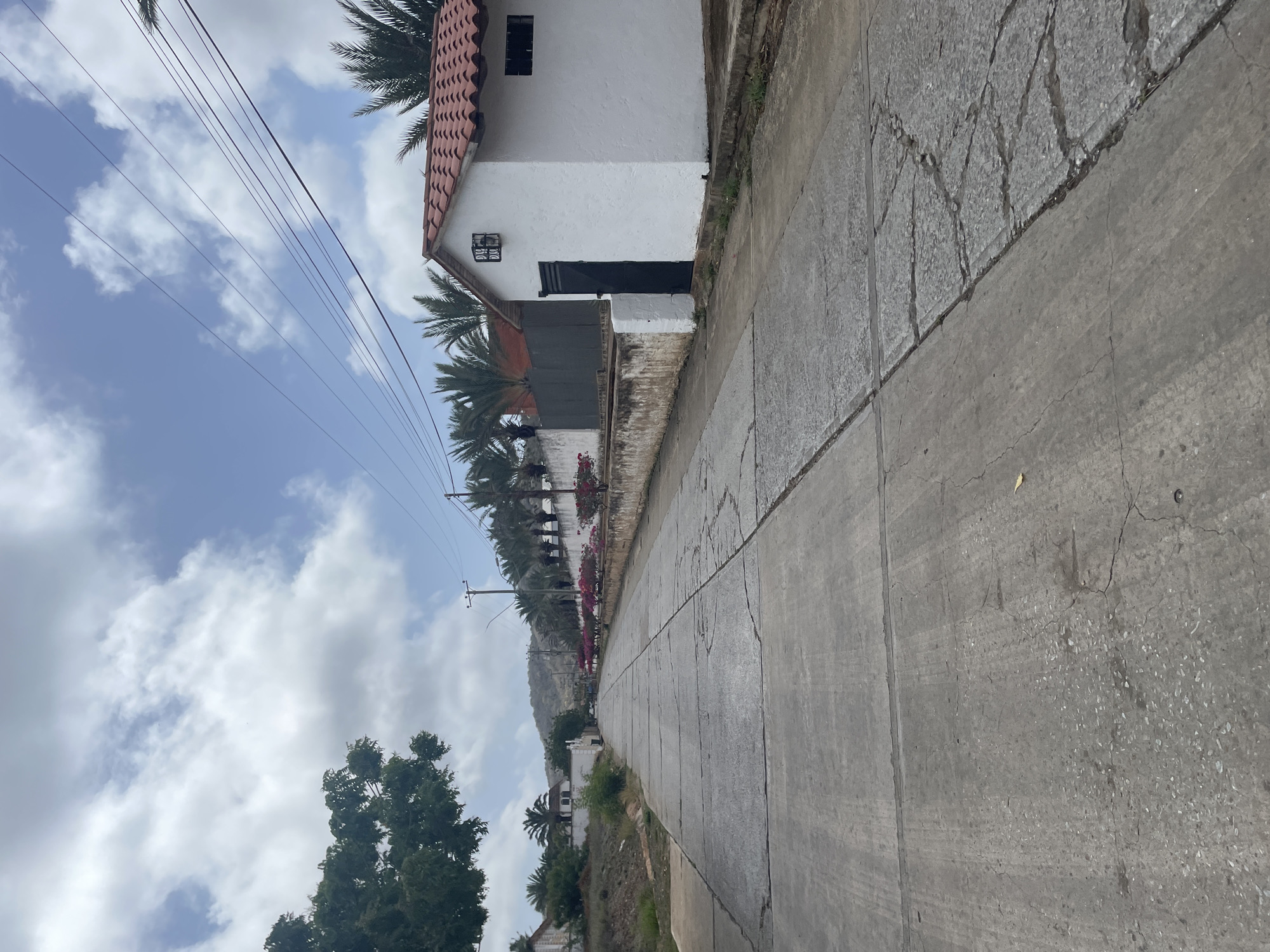 The image depicts a long, paved road in El Valle del Espíritu Santo, Venezuela, lined with buildings and vegetation. The road, constructed from concrete slabs, shows signs of wear and tear with numerous cracks. On the right side of the road, a small, white building with a red tiled roof and a dark door is visible. Further down the road, a low concrete wall runs alongside, adorned with vibrant pink flowers. Palm trees and other foliage are scattered throughout the scene, with a larger tree on the left and a line of palm trees on the right. In the background, a hill rises, partially obscured by the sky, which is filled with scattered clouds. The overall impression is of a residential or semi-rural area under a cloudy sky.