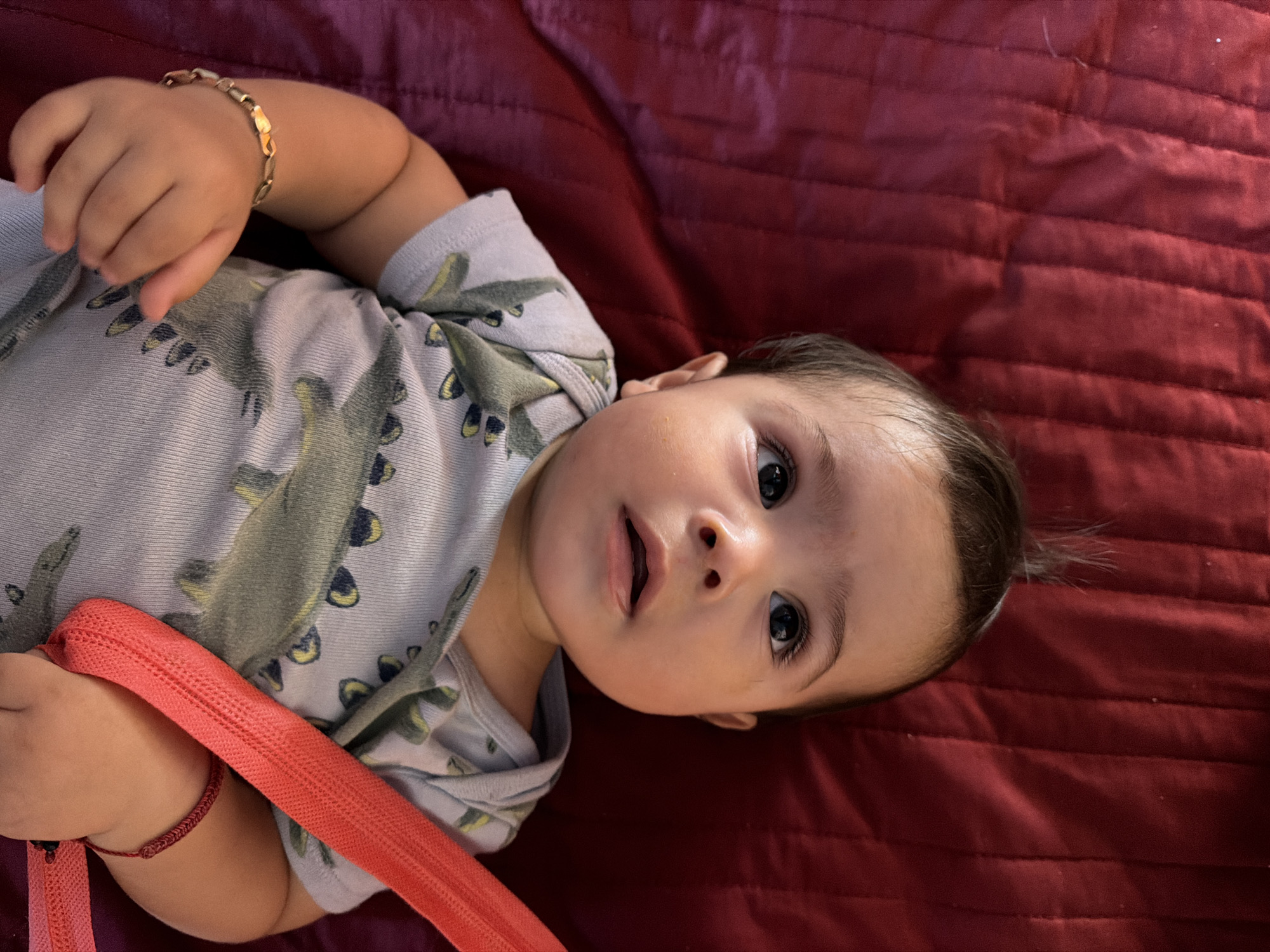 A baby is lying on a maroon quilted surface. The baby is wearing a light gray short-sleeved shirt with a dinosaur pattern. The baby has dark hair and eyes. The baby is wearing a gold bracelet on one wrist and a red bracelet on the other. The baby is holding a red zipper.
The location is not discernible from the image.