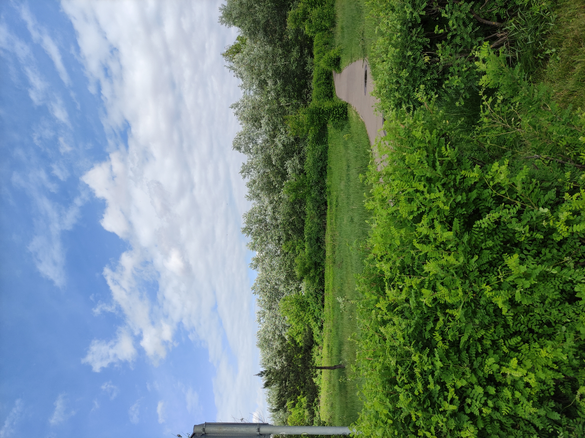 The image depicts a landscape in an area characterized by greenery. A blue sky with white clouds is visible on the left side. A gray path runs through a grassy area bordered by dense green bushes and trees. The trees have light green foliage. The exact location within the city of Unknown, Unknown, is not discernible from the visual information provided. The scene appears to be outdoors, possibly in a park or natural area.