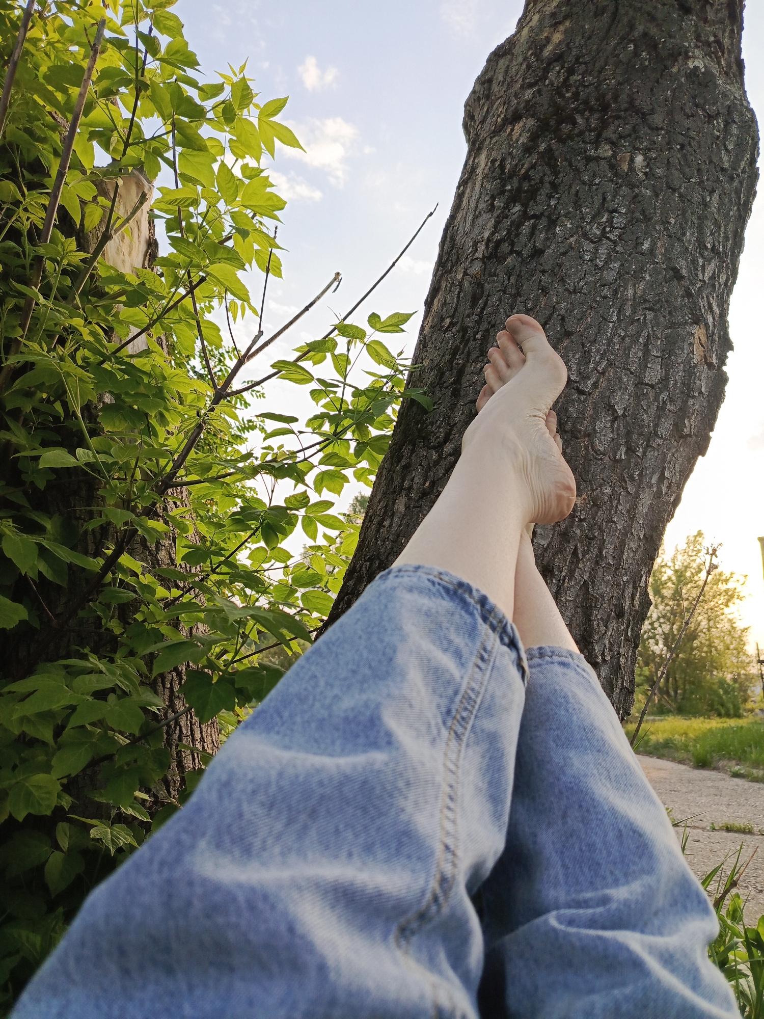 A close-up shot features a person's legs propped up against two trees. The person is wearing blue denim jeans. Their bare feet are visible, resting against the bark of the tree on the right. The tree on the left is surrounded by vibrant green leaves. The background includes a path and some greenery, suggesting a park or outdoor setting. The photo was taken in the city of Chaikovsky, Russia. The sunlight indicates it's likely daytime.