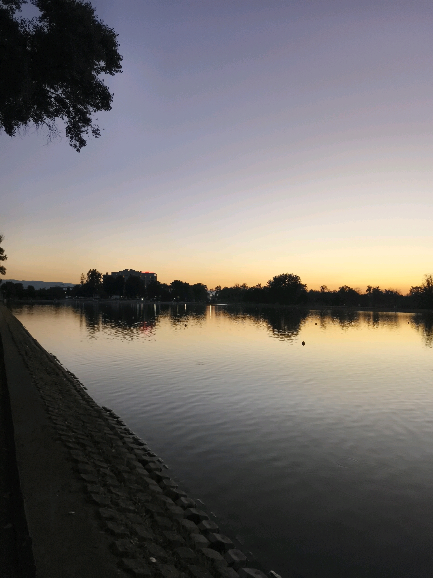 An outdoor, low-angle, wide shot captures a serene twilight scene at a body of water, likely a lake or river. The sky transitions from a soft lavender at the top to a warm, pale yellow near the horizon, indicating either dawn or dusk. Silhouetted trees and a building with a red illuminated section form the treeline on the far bank of the water. The water itself is calm, with subtle ripples reflecting the colors of the sky and the dark shapes of the foliage. A stone embankment runs along the left side of the foreground, leading the eye towards the tranquil water. There are no people or animals visible in the image. The overall atmosphere is peaceful and contemplative, with the natural light creating a soft, diffused ambiance.