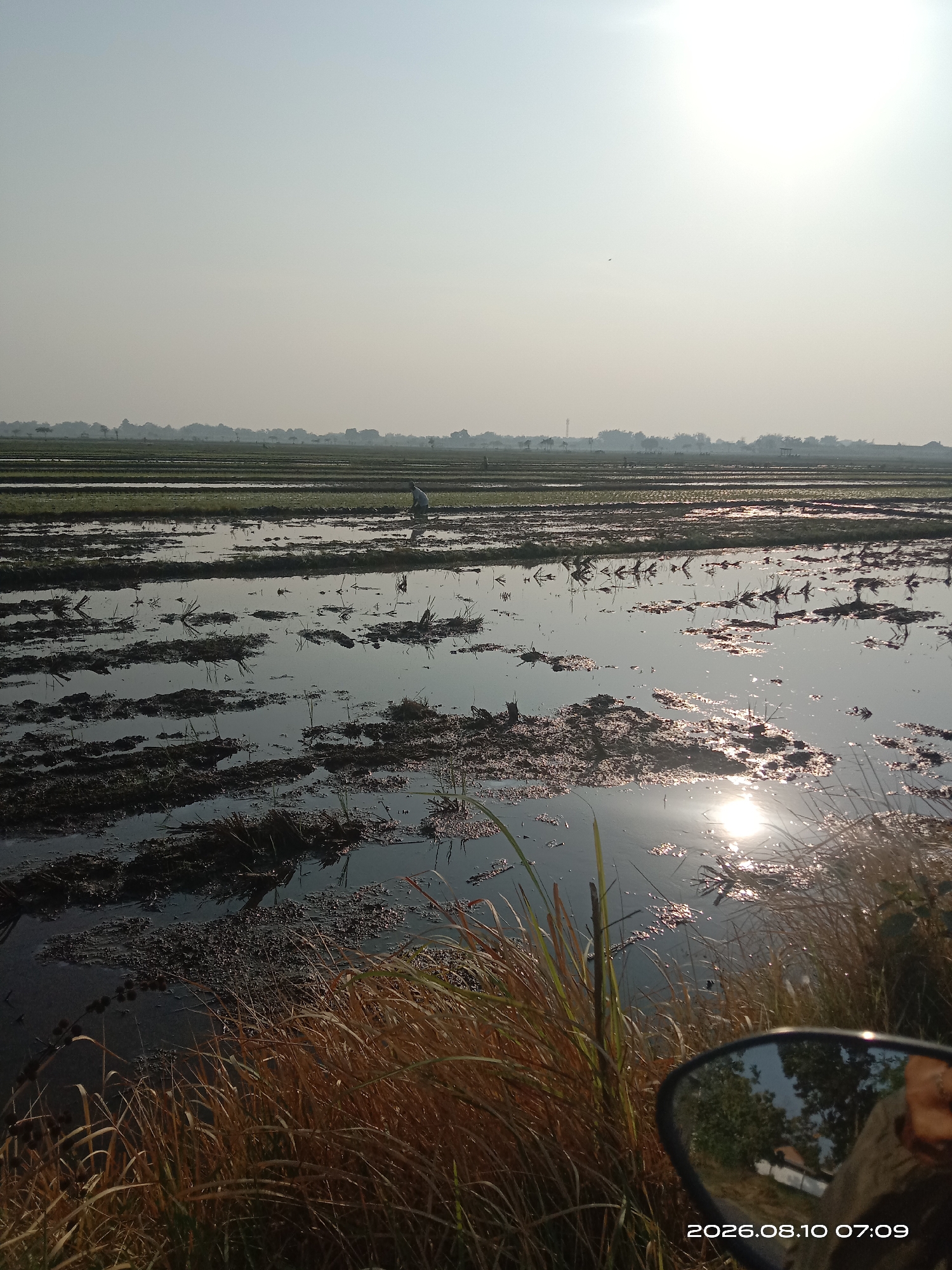 The image captures a rural landscape in Bugasur Kedaleman, Indonesia, under a bright, hazy sky. The foreground is dominated by tall, dry grass and vegetation, with a motorcycle's side mirror reflecting trees and a structure. Beyond this, a flooded agricultural field stretches across the frame, with rows of dark, muddy earth interspersed with shallow water. The water reflects the sky and the sun, creating shimmering highlights. In the middle distance, a solitary figure, appearing to be a farmer, is visible working in the field. The horizon is lined with a dense growth of trees, creating a soft, hazy silhouette against the sky. The timestamp "2026.08.10 07:09" is visible in the bottom right corner.