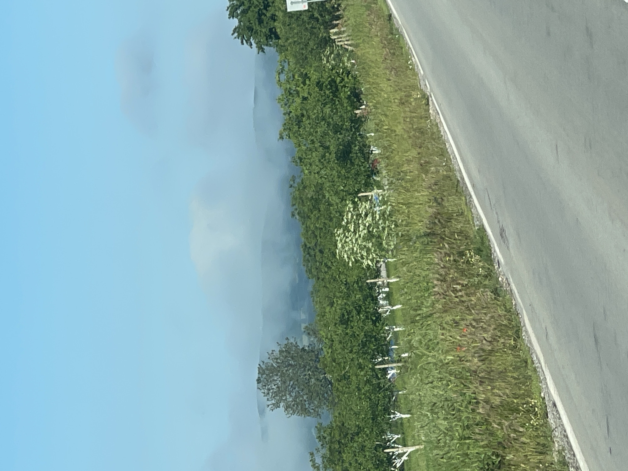 The image displays an outdoor scene, likely a roadside view, captured during daytime under hazy conditions. A grey asphalt road with a white solid line marking its edge runs diagonally across the right side of the frame, disappearing towards the top right. Adjacent to the road, on the left, is a wide strip of green grass and foliage that serves as a verge or shoulder.
Within this grassy area and extending towards a dense line of green trees and bushes, numerous small, white, cross-like objects are visible. These objects, possibly memorial markers, are unevenly spaced and appear to be decorated with ribbons or other adornments. Beyond the treeline, a large expanse of thick, white-grey smoke or mist blankets the middle ground, largely obscuring what lies behind, though faint outlines of distant hills or landforms can be discerned through the haze. Above this hazy layer, the sky transitions to a clear, light blue.
The overall scene suggests a somber atmosphere, possibly a memorial site along a road, located in Kamchiya, Bulgaria. No specific activities or individuals are depicted, and no visible text is present. The prominent smoke or mist is a notable detail, creating a soft, obscured background.