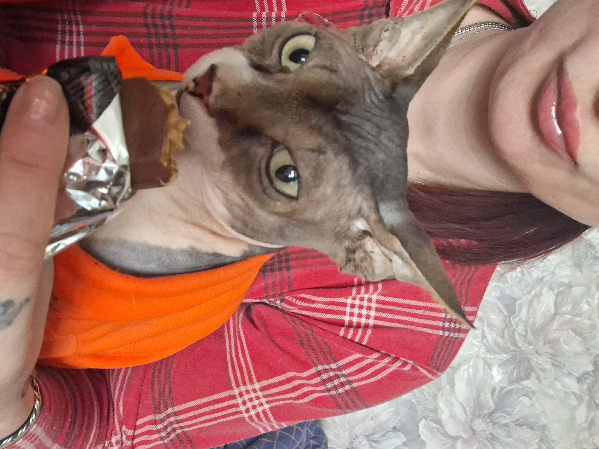 The image shows a woman lying on a floral-patterned surface, possibly a bed or blanket. She is wearing a red plaid shirt and has dark red hair. A hairless cat, wearing an orange garment, is positioned on her chest, appearing to bite into a chocolate bar held in the woman's hand. The woman is smiling slightly. The location is Забалоцкі сельскі Савет, Belarus.