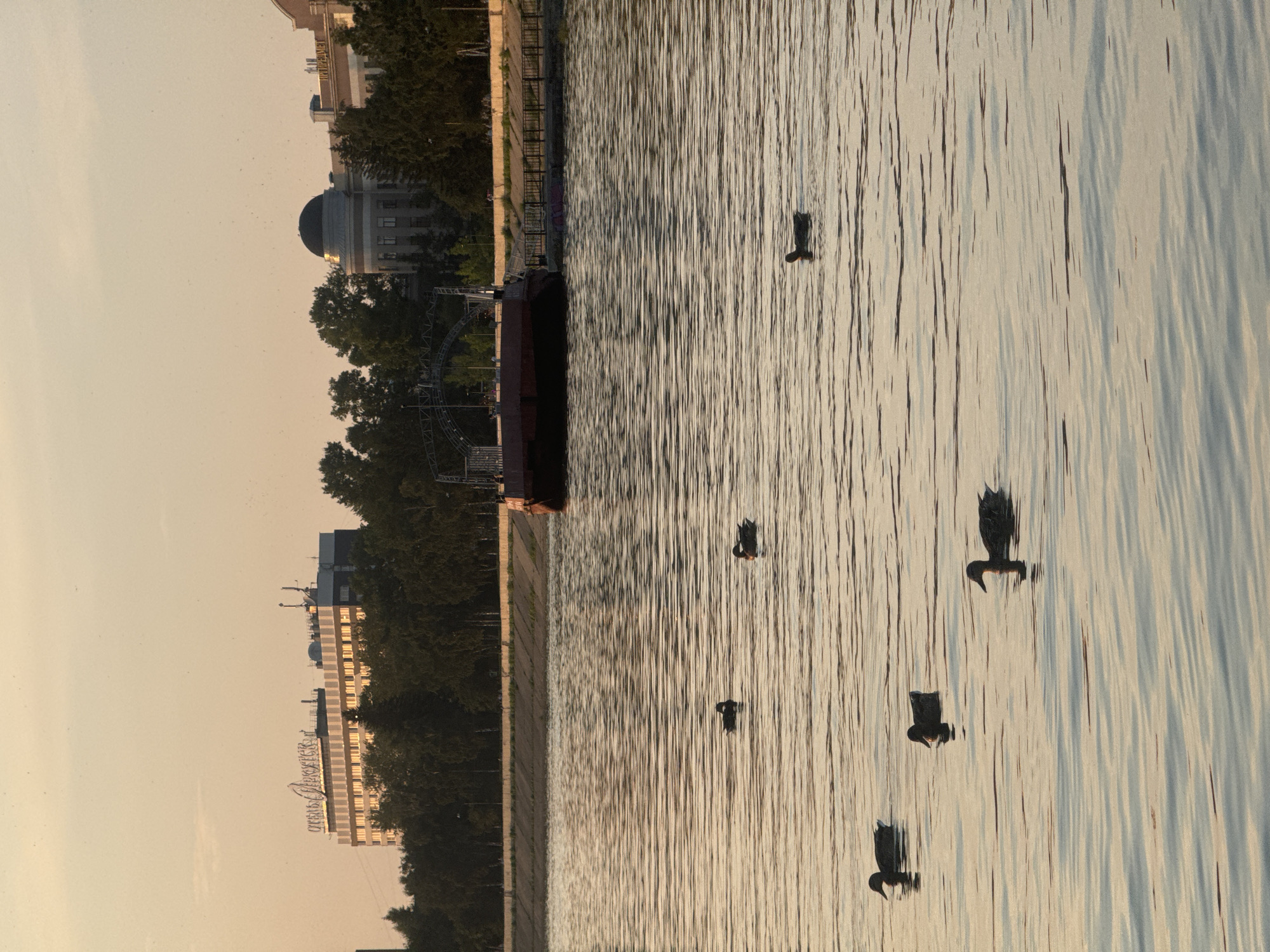 The image captures a tranquil scene on the Angara River in Irkutsk, Russia, during sunset. Several ducks are gracefully swimming on the calm, rippling water, their dark silhouettes contrasted against the warm, golden hues of the setting sun reflecting on the surface. In the background, the city skyline is visible, featuring a prominent building with signage that reads "ОТЕЛЬ АНГАРА" (Hotel Angara). Further along the riverbank, a large, red barge is moored, and beyond it, several other buildings and trees line the shore, creating a picturesque urban landscape. The sky is a soft, pale orange, indicative of the twilight hour.