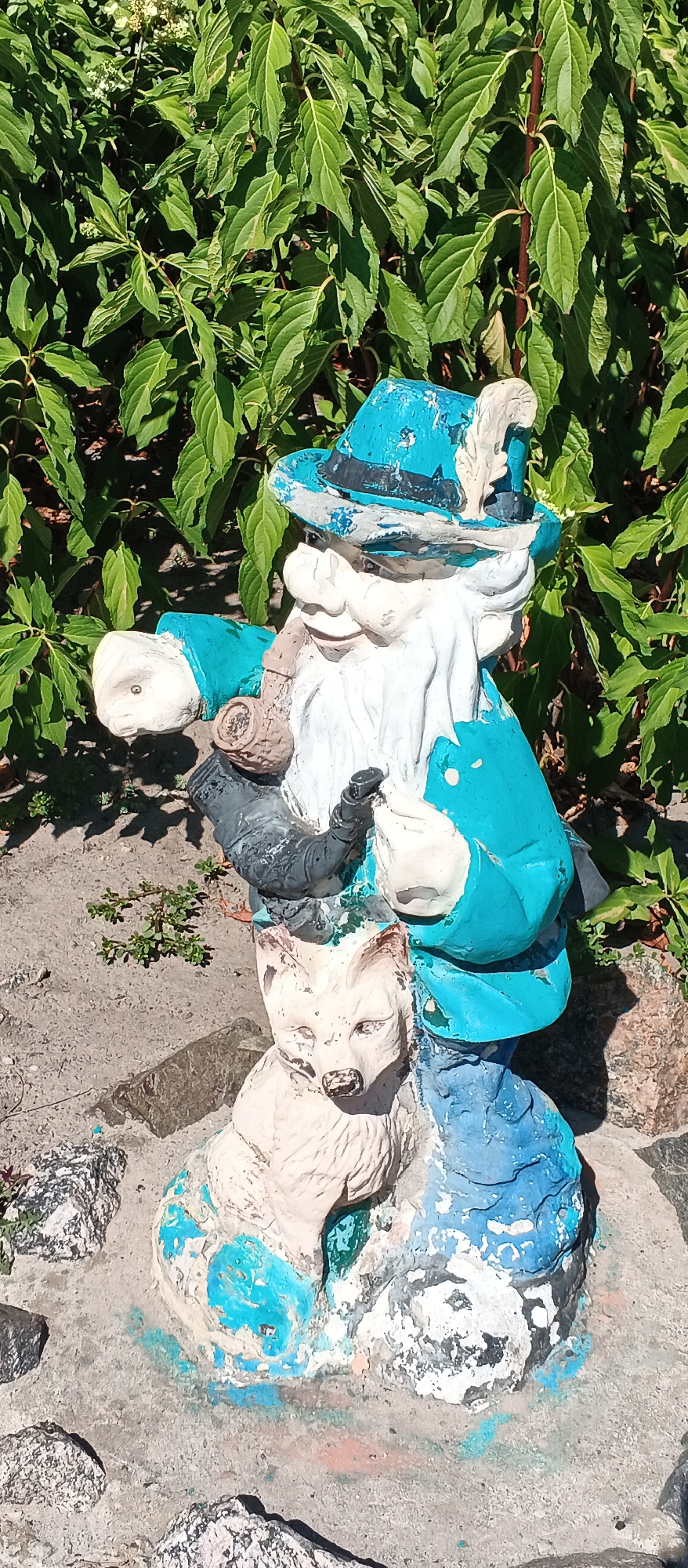 A weathered garden gnome statue, painted predominantly in bright blue and white, stands in the foreground against a backdrop of lush green foliage. The gnome, depicted with a long white beard and a blue hat adorned with a feather, holds a pipe in its right hand and its left hand rests on the head of a light-colored, fox-like animal. The paint on the gnome is chipped and peeling, revealing the underlying material. The ground is a mixture of gravel and concrete, with some loose stones and small green plants growing in patches. In the distance, the foliage creates a dense, verdant wall, suggesting an outdoor, possibly garden or park setting. The lighting indicates it is a sunny day, casting shadows on the ground. The specific location within Cherkasy, Ukraine, is not visually identifiable from the image.